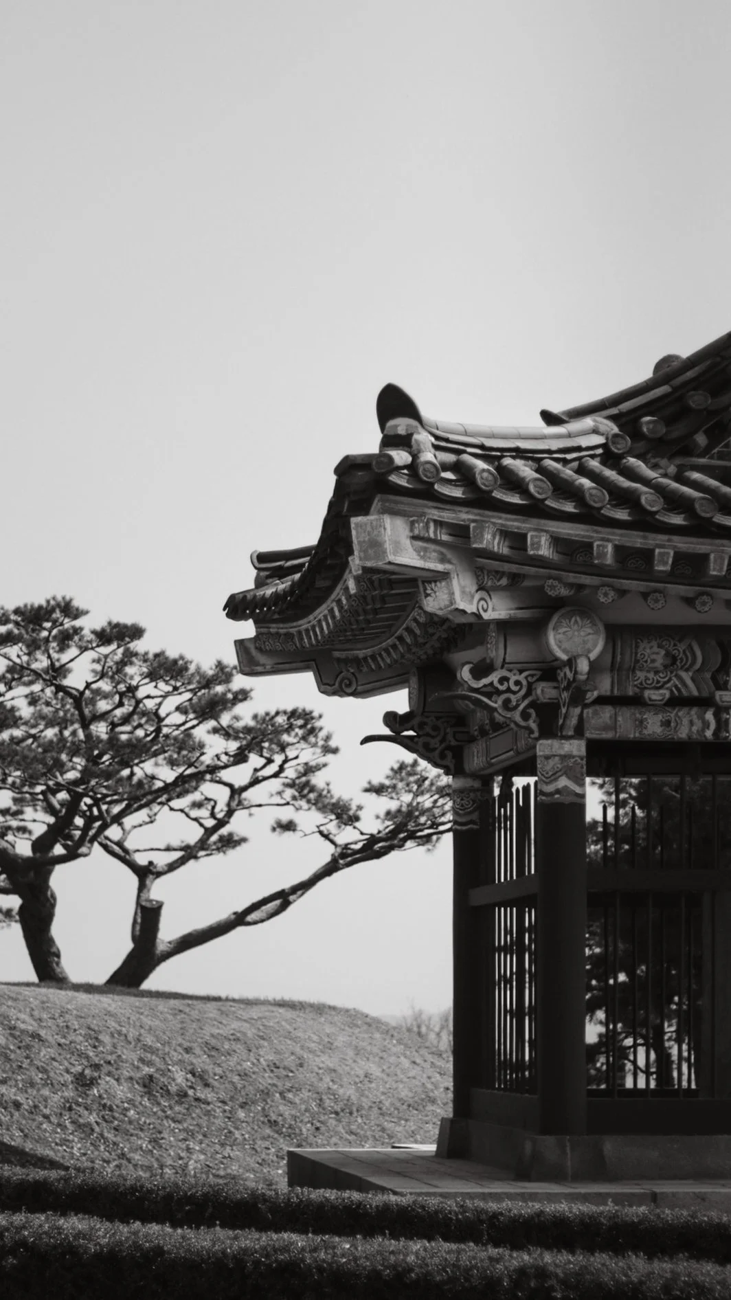Black and white photo of a traditional Asian pagoda with an ornate roof, nearby tree with twisted branches, and grassy terrain.