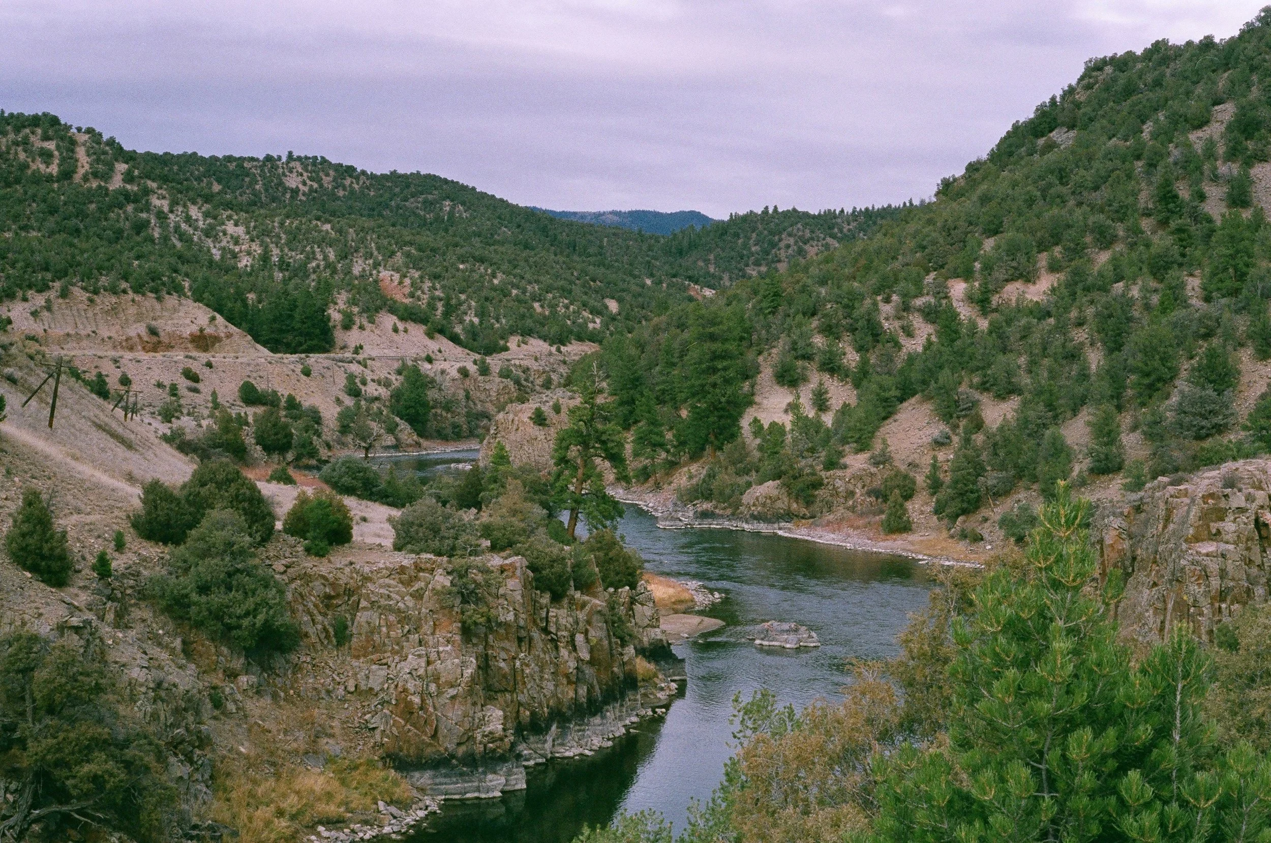 A river flowing through a canyon in the Colorado mountains with green pine trees on the hillsides under a cloudy sky.