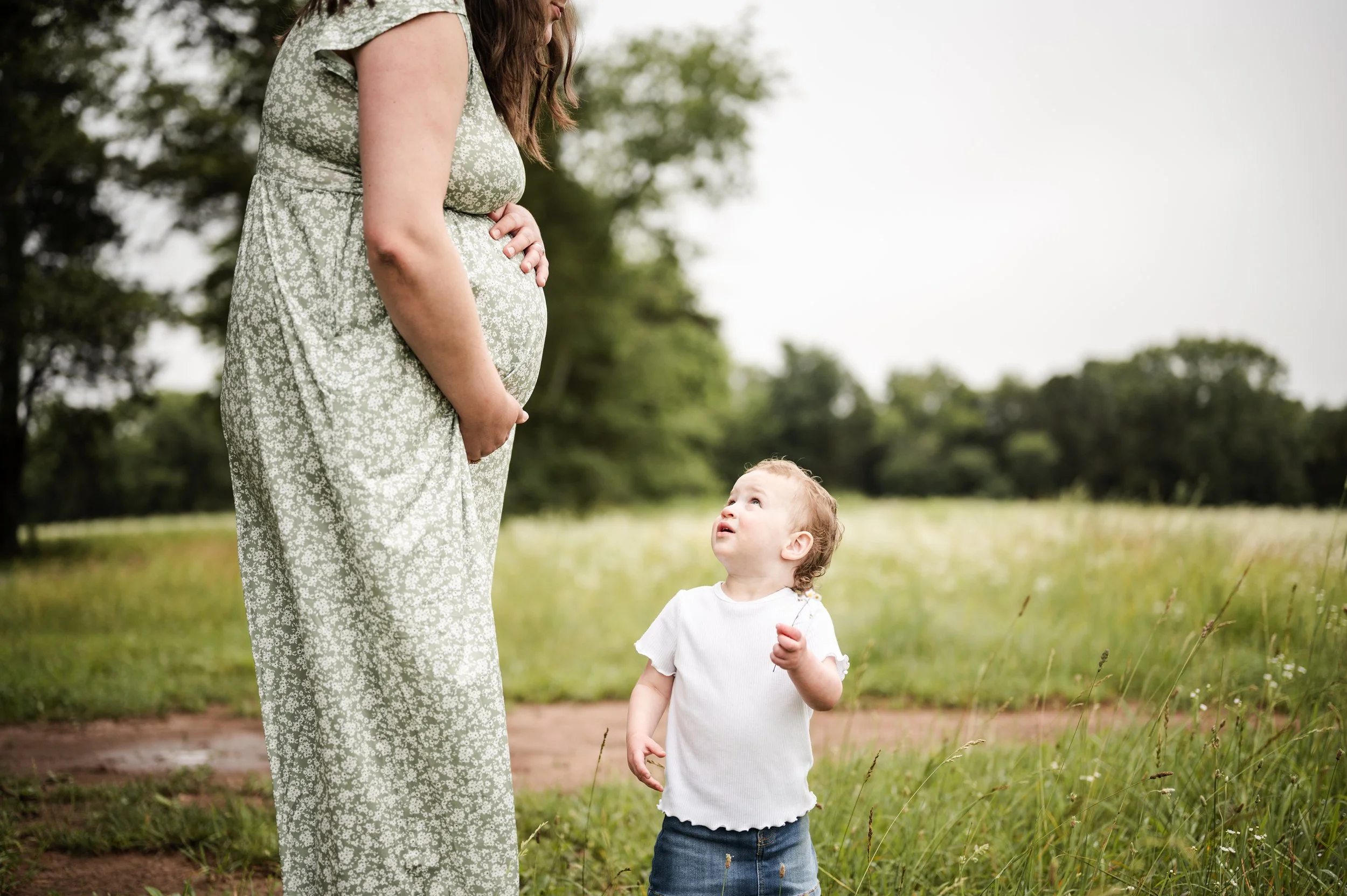 Maternity photography at Manassas Battlefield in Manassas, VA