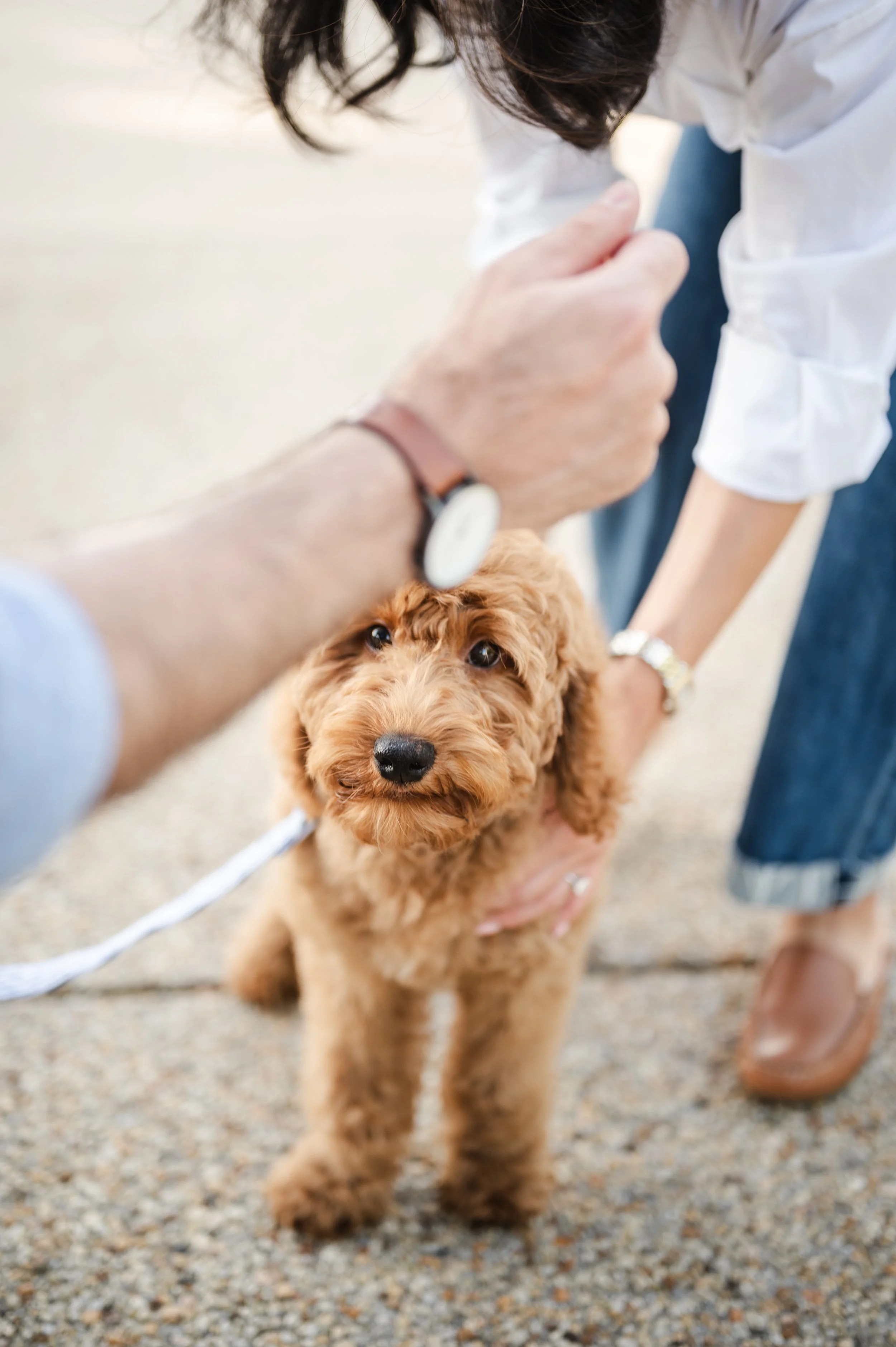 Family photography at the capitol building in Washington, DC
