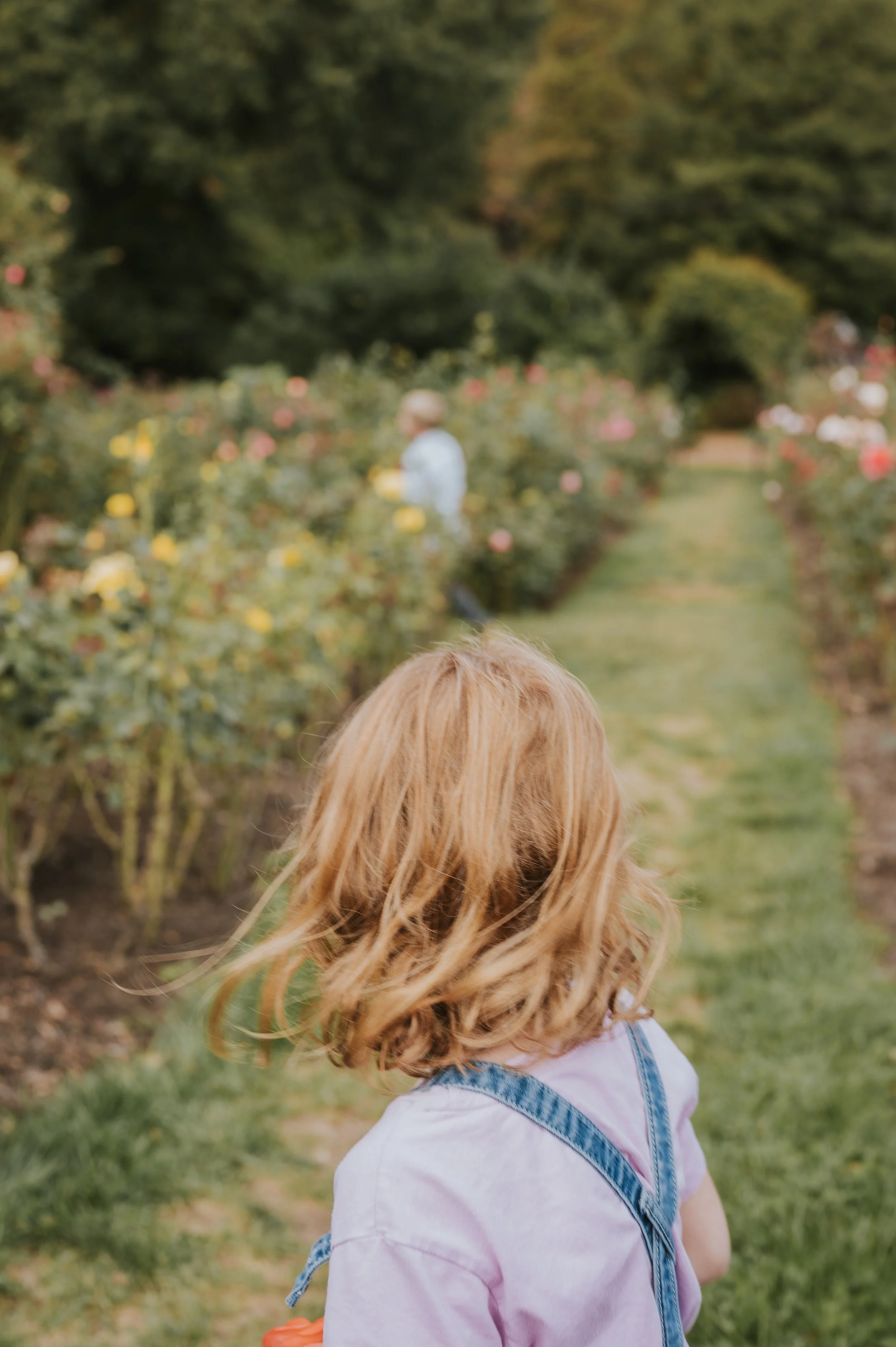 Family photography at Bon Air Rose Garden in Arlington, VA