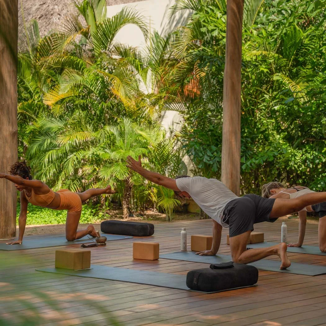 People practicing yoga outdoors on mats with props, surrounded by lush green plants.