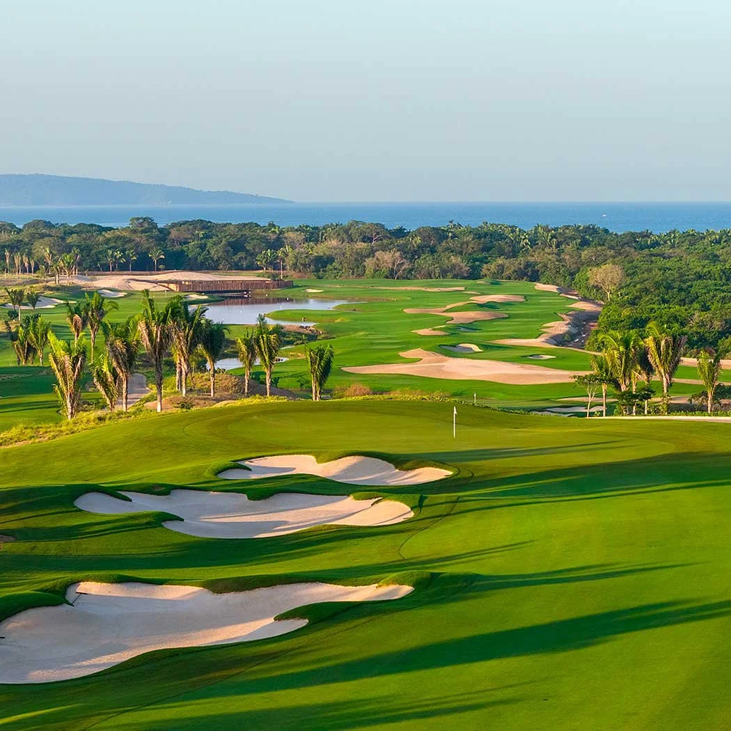 A scenic golf course with sand bunkers and green fairways, lined with palm trees, overlooking the ocean in the distance.