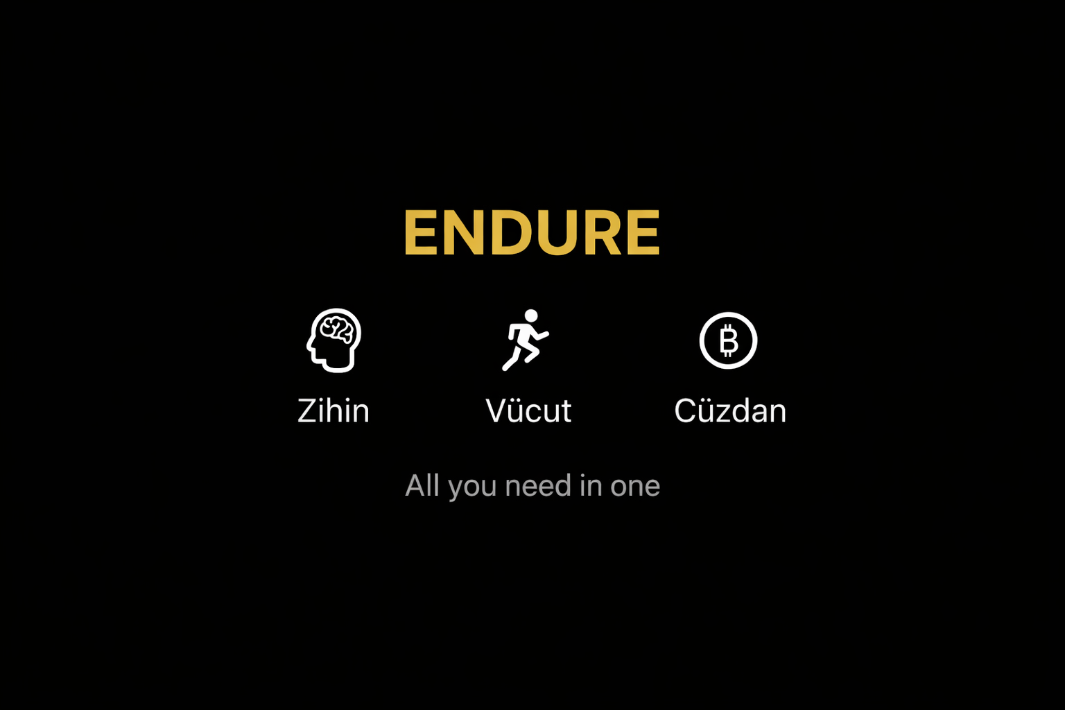 ENDURE app introduction screen showing the core pillars of the system: mental clarity, physical performance, and financial strength. Tagline: All you need in one.
