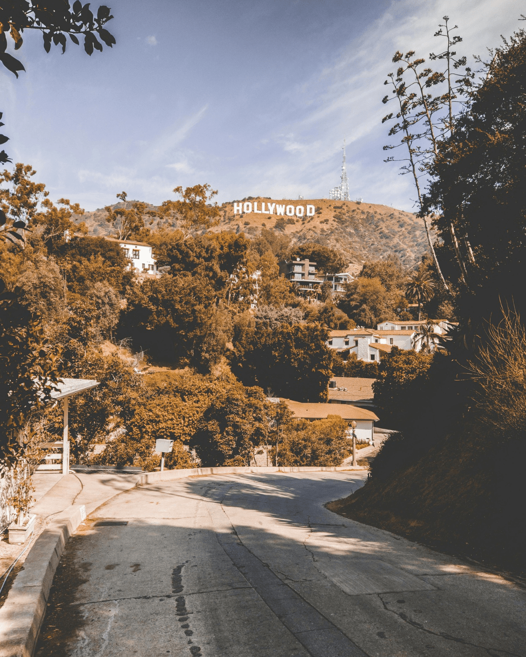 Our Team's Perfect Saturday in LA