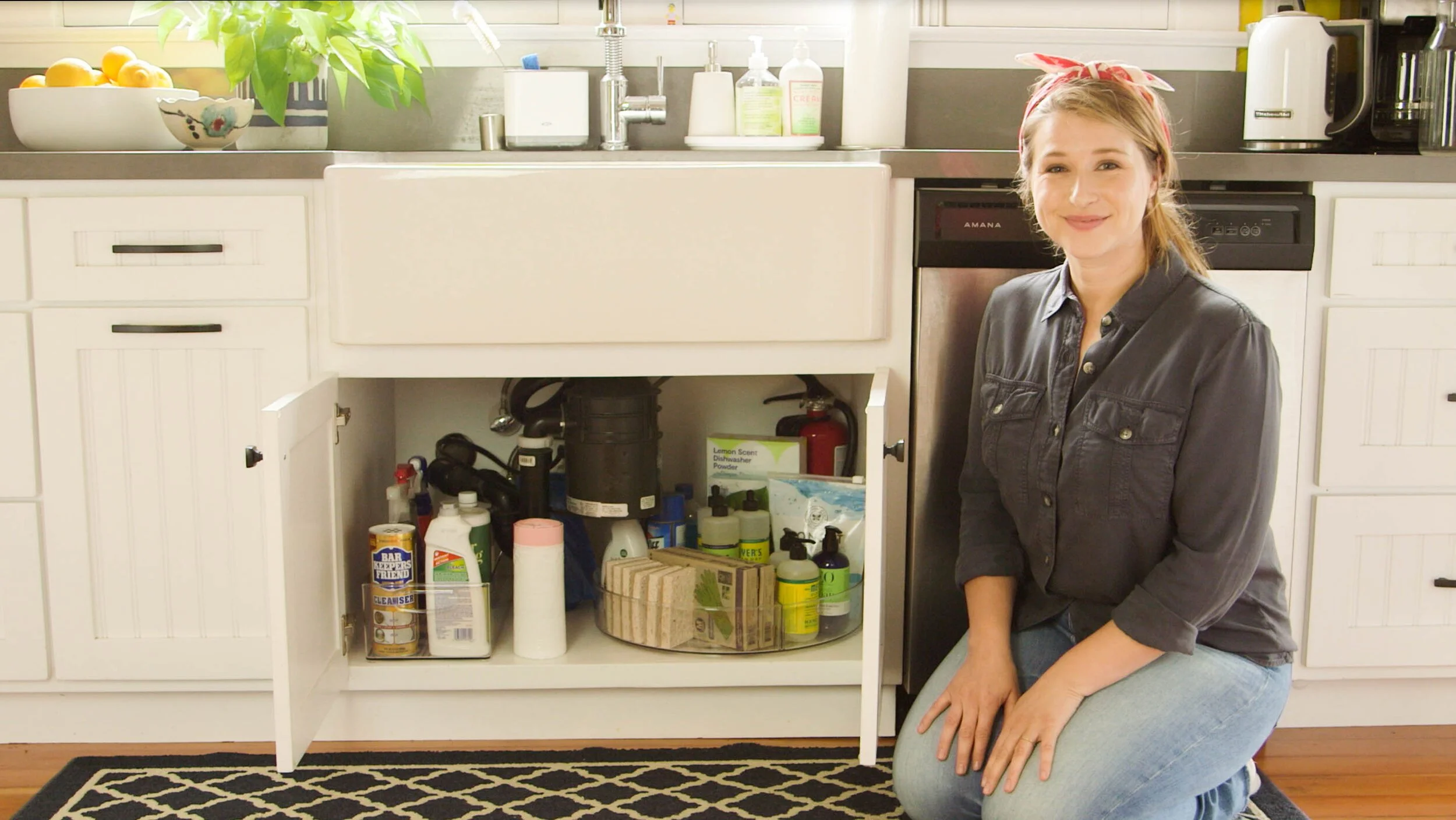 Organize Your Under Sink
