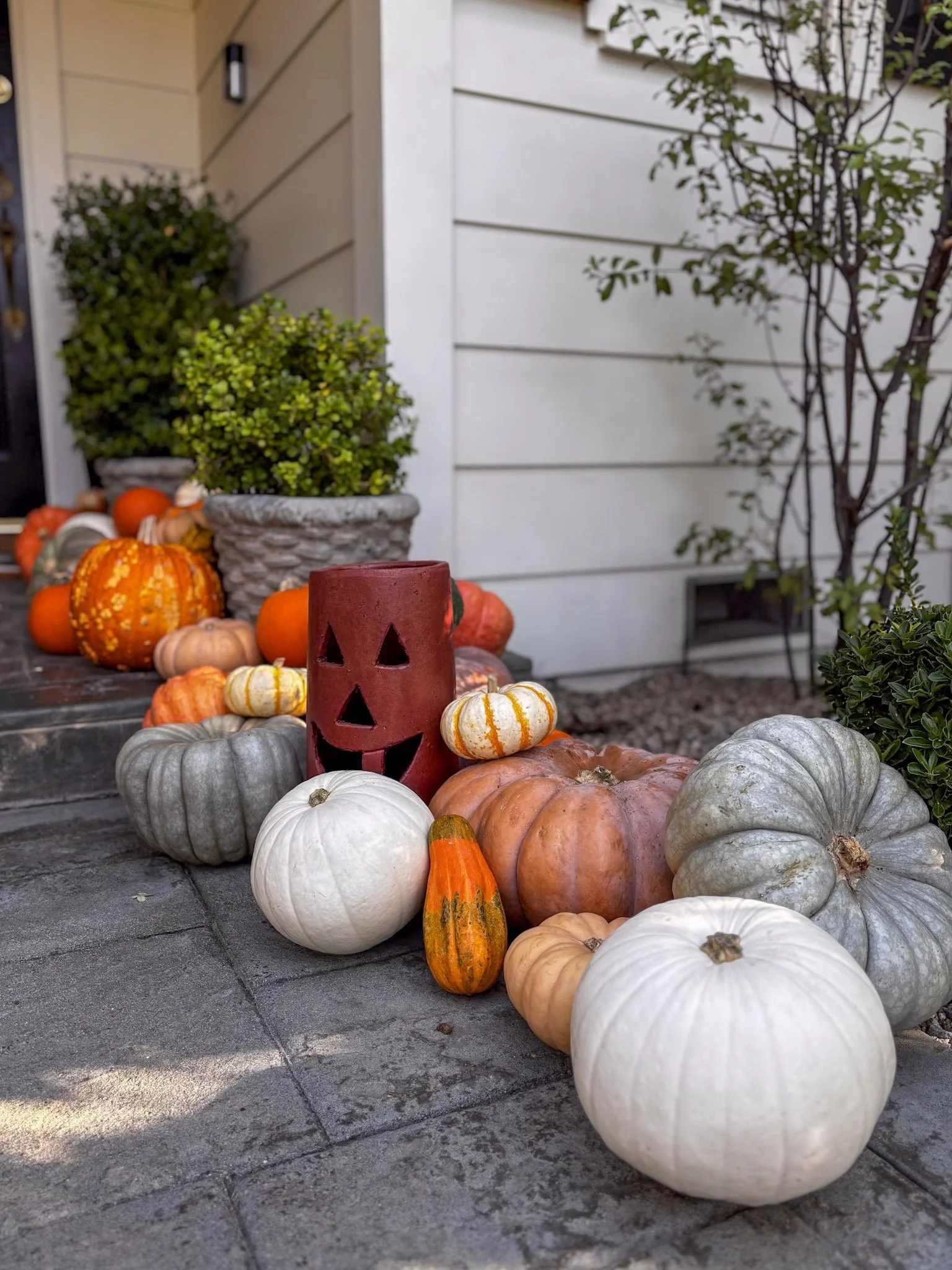 Palisades Halloween