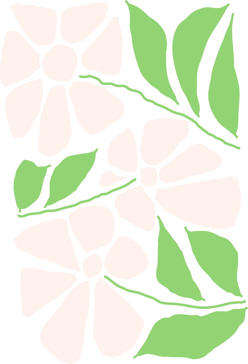 An illustration of a white flowers with green leaves