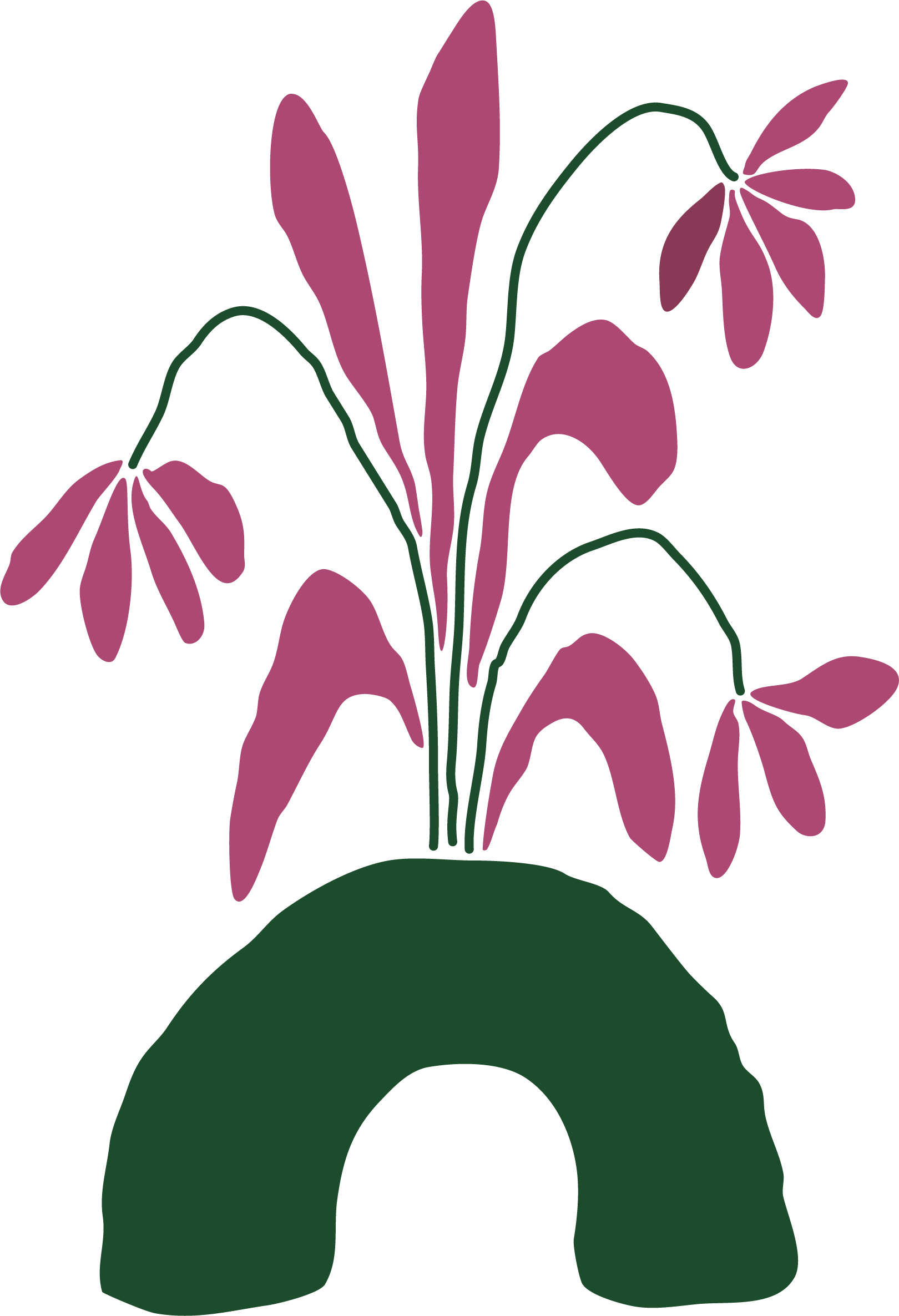 An illustration of a maroon plant in a green planter