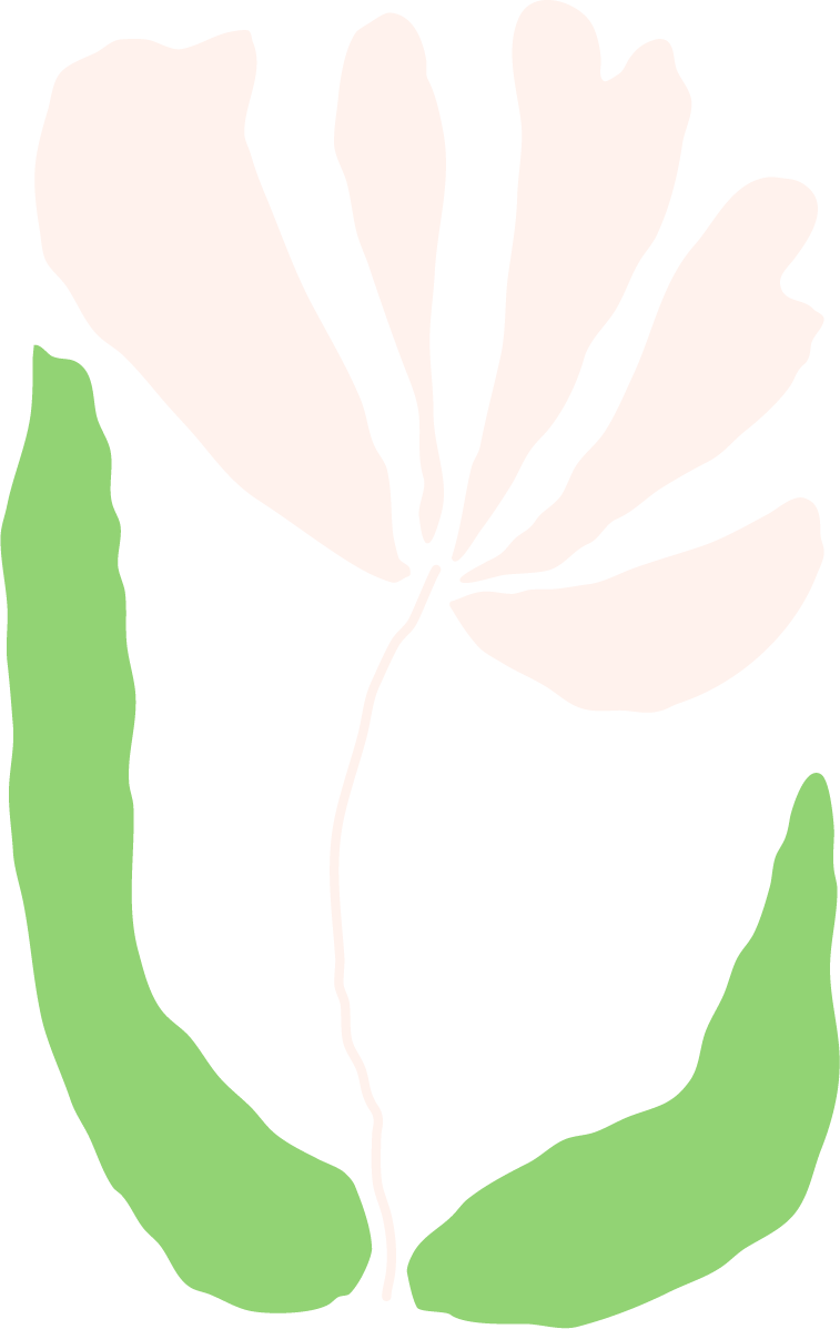 An illustration of a white flower with green leaves