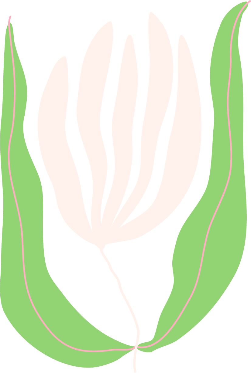 An illustration of a white flower with green leaves