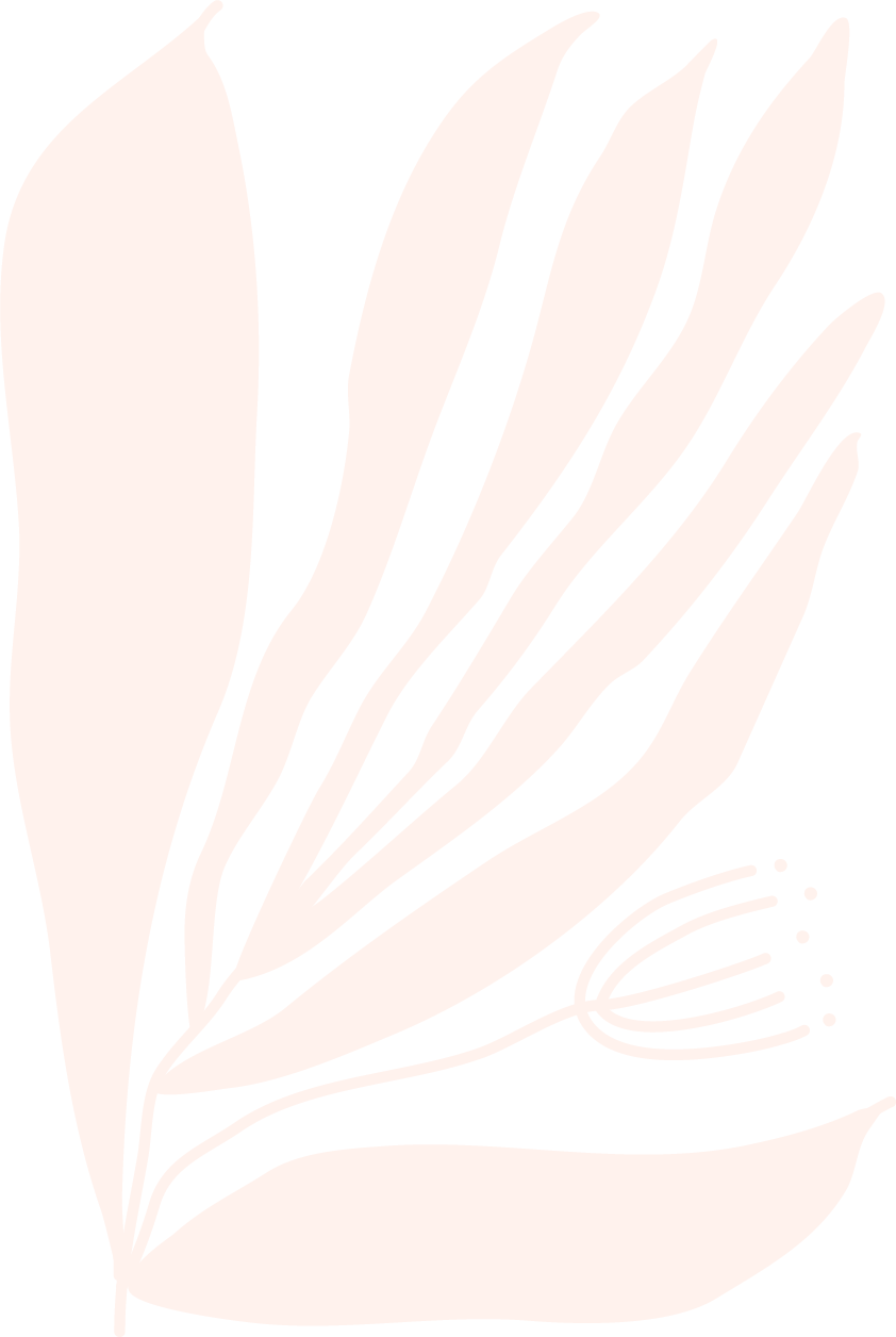 An illustration of a plant in white