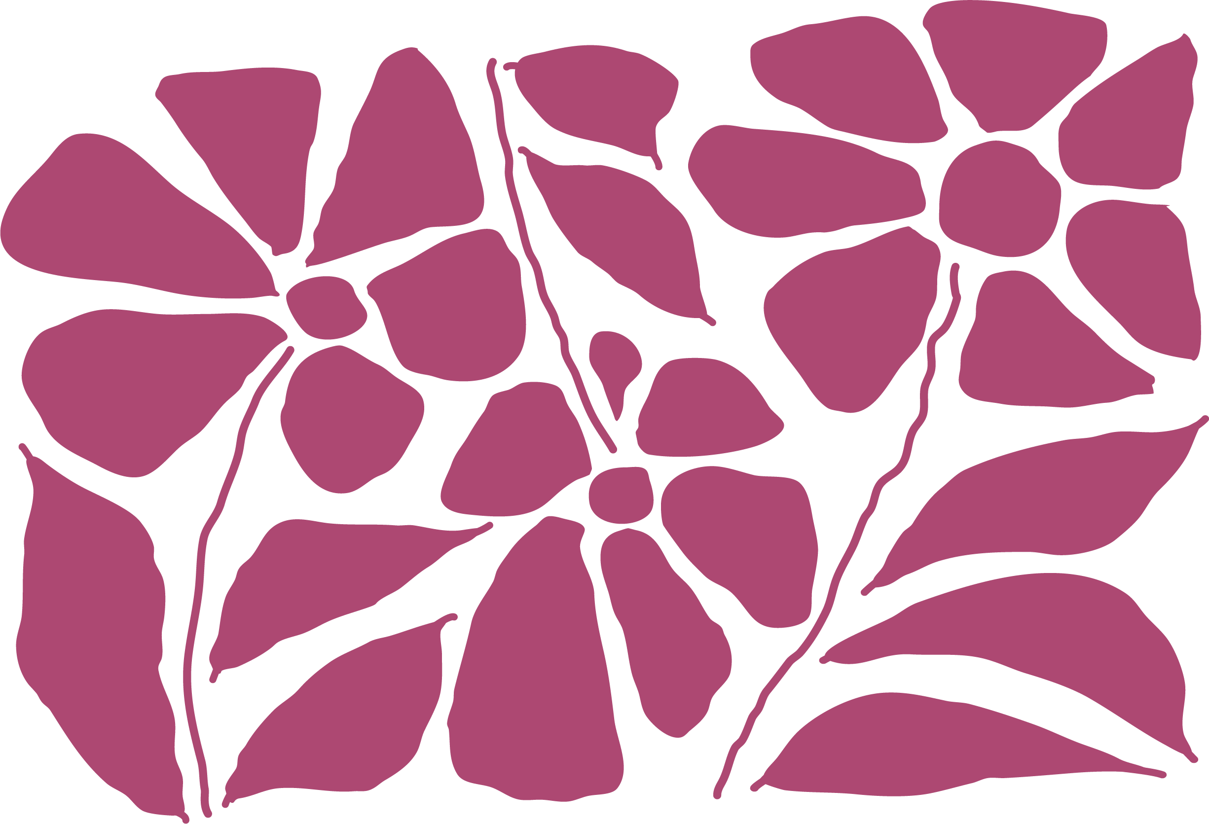 An illustration of three maroon flowers