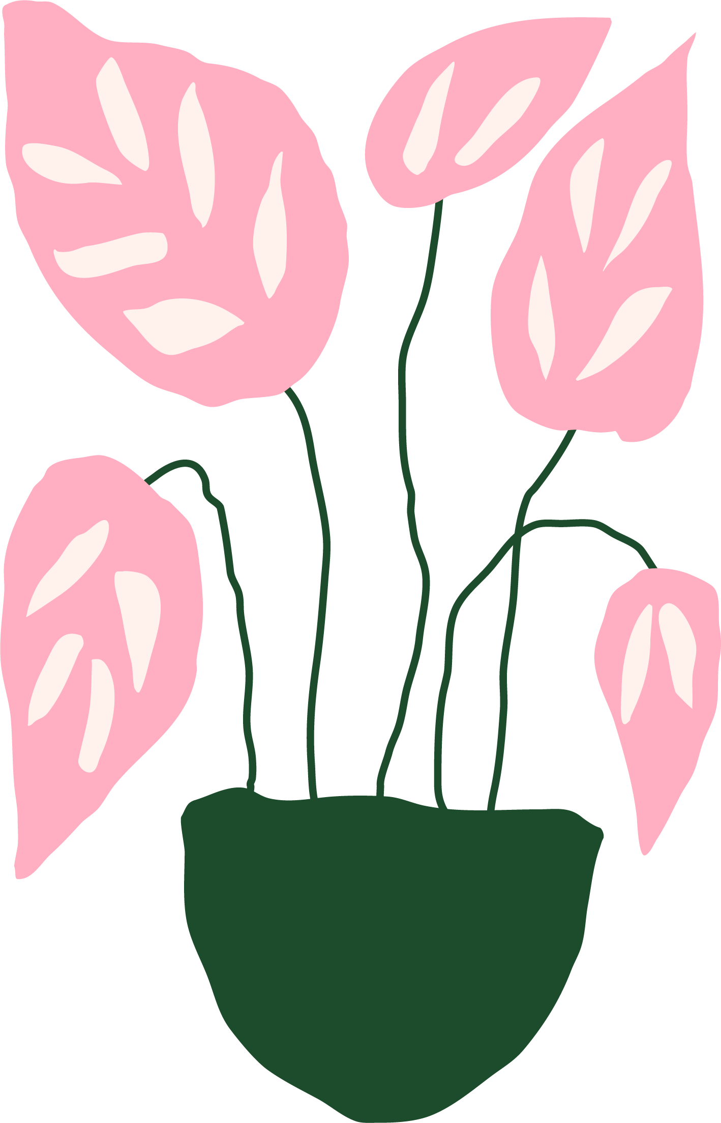 An illustration of a pink monstera plant in a green pot
