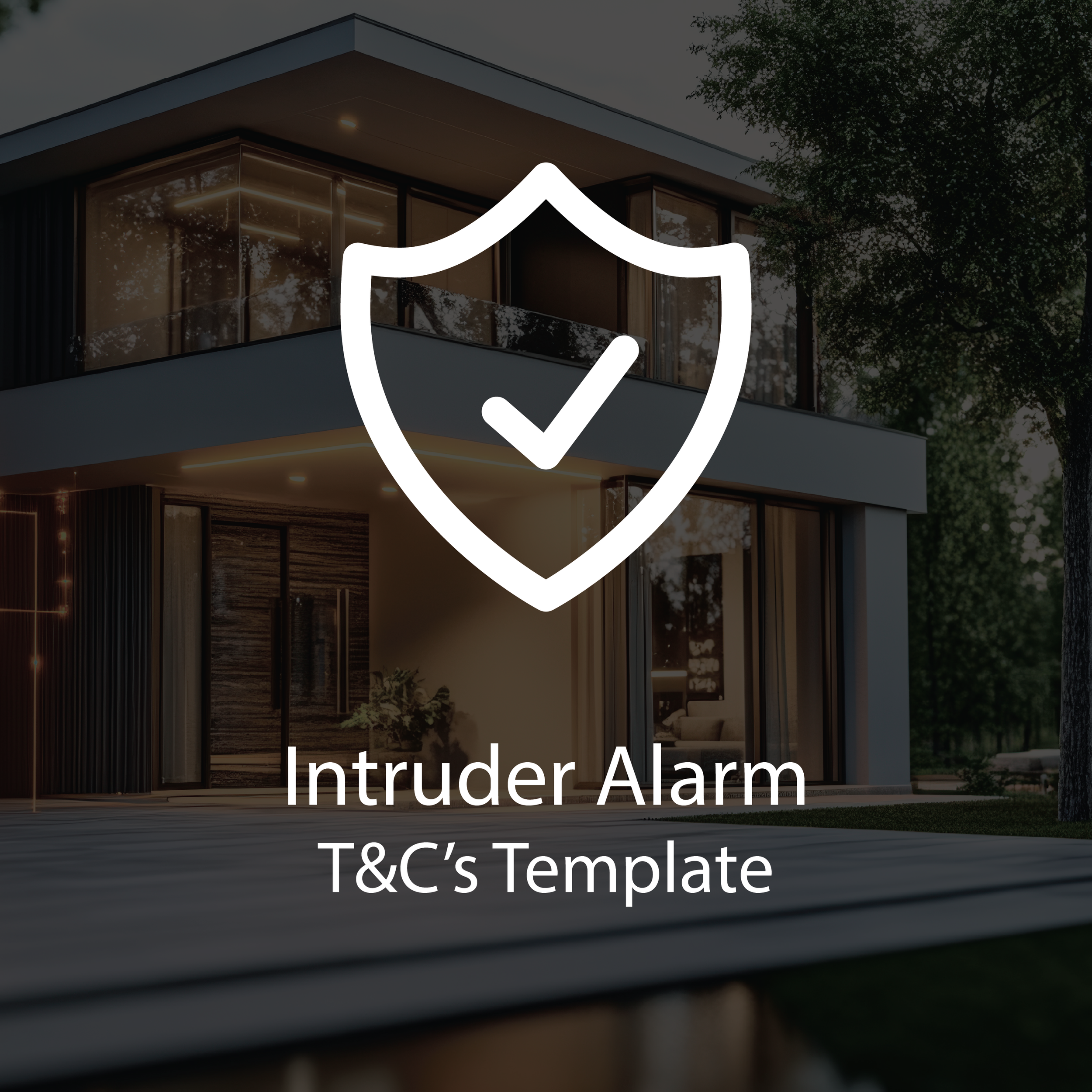 Intruder Alarm - Terms of Sale Contract Template