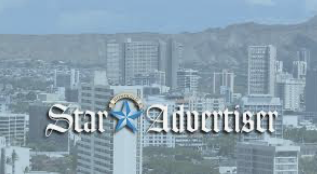 Close-up of taro leaves with prominent veins, overlapping each other.