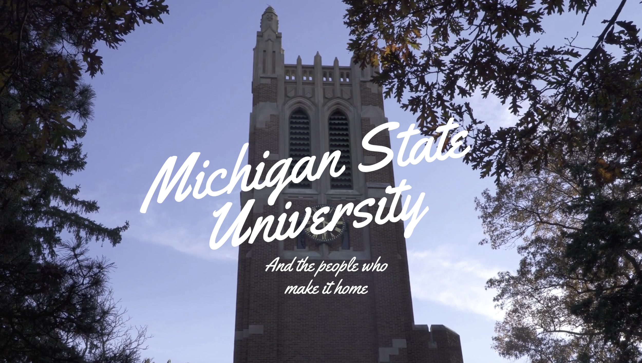 MSU: A Love Letter