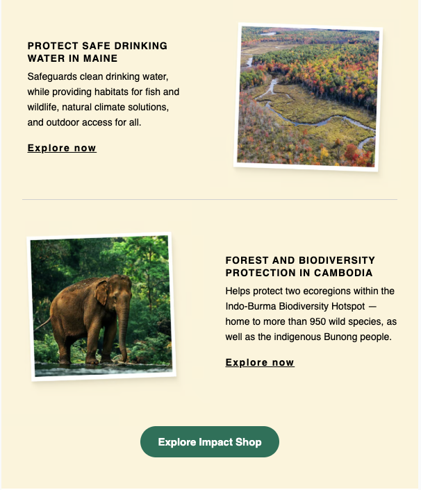 giving tuesday 3.png