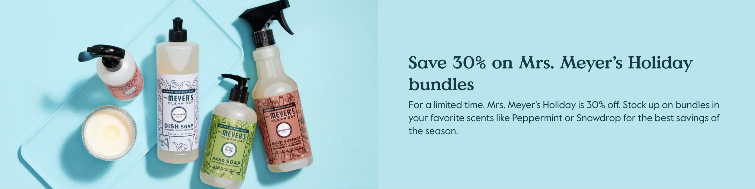 Screenshot 2025-11-11 at 1.49.21 PM.png