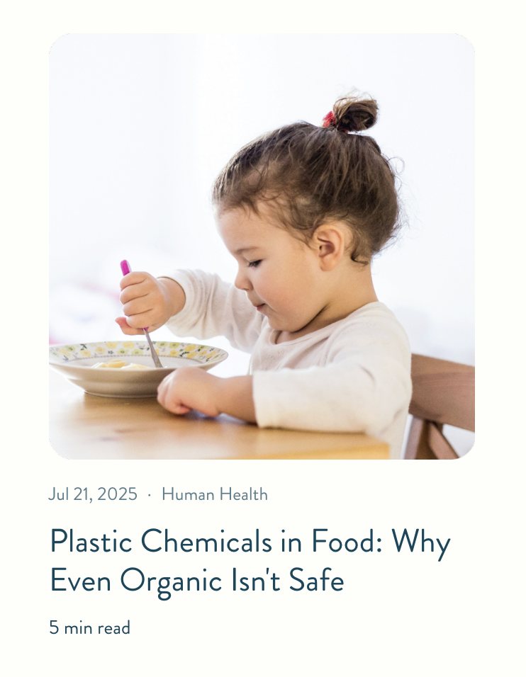 Screenshot 2025-11-11 at 1.10.39 PM.png