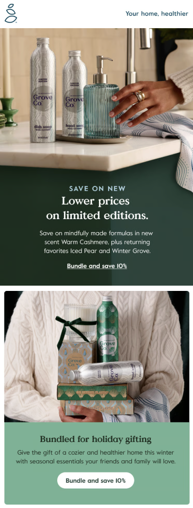 winter LE email 3.png