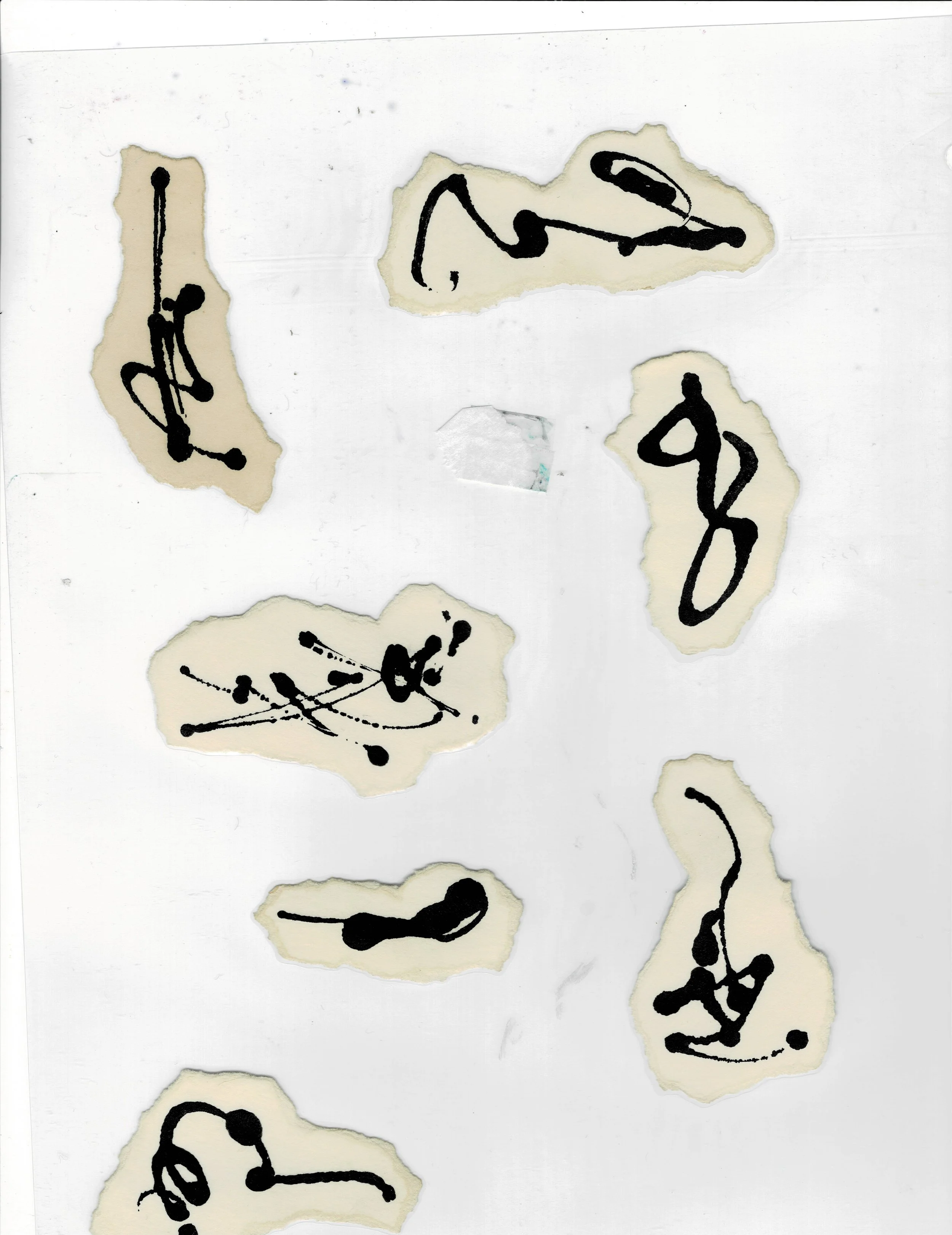 scan6.jpg