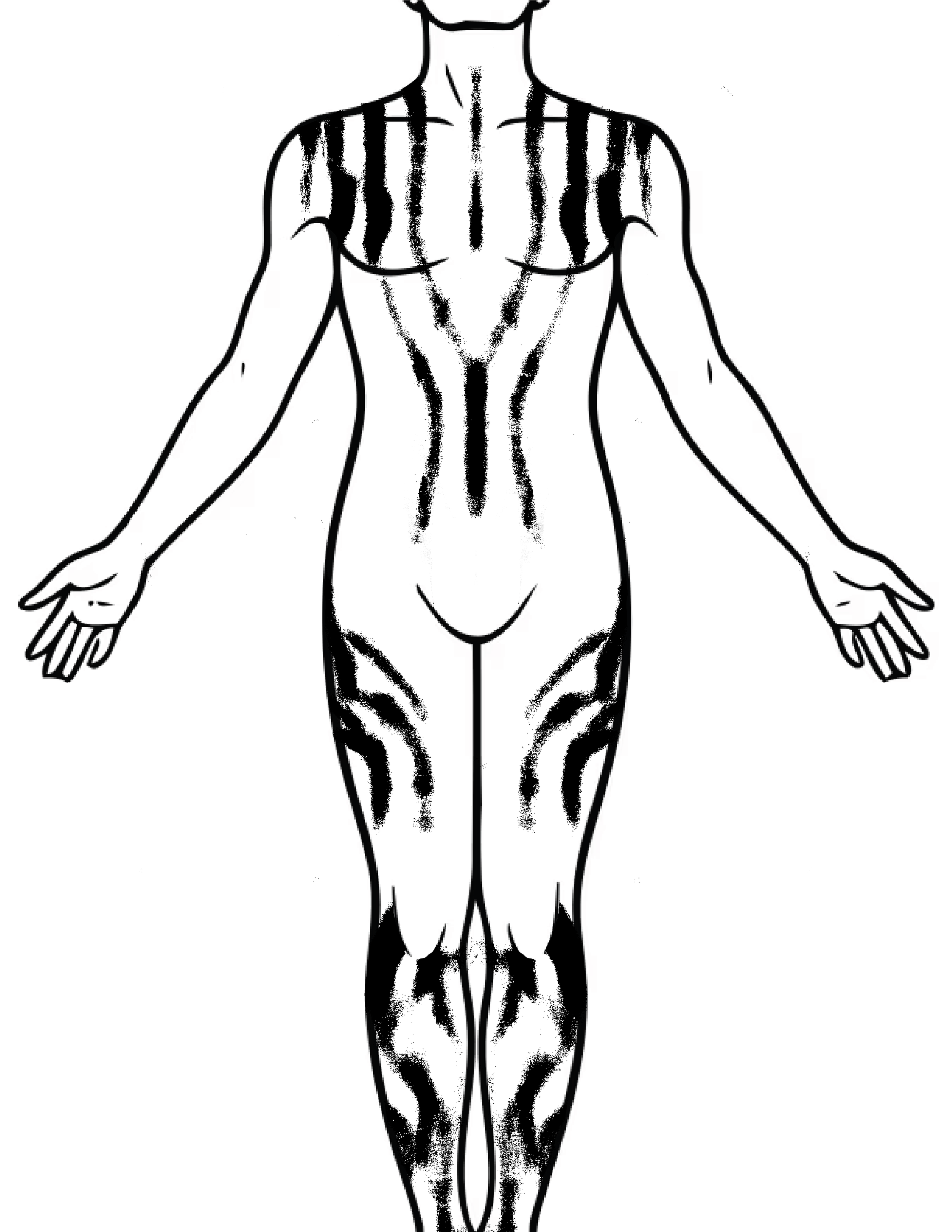 Untitled_Artwork 66.png