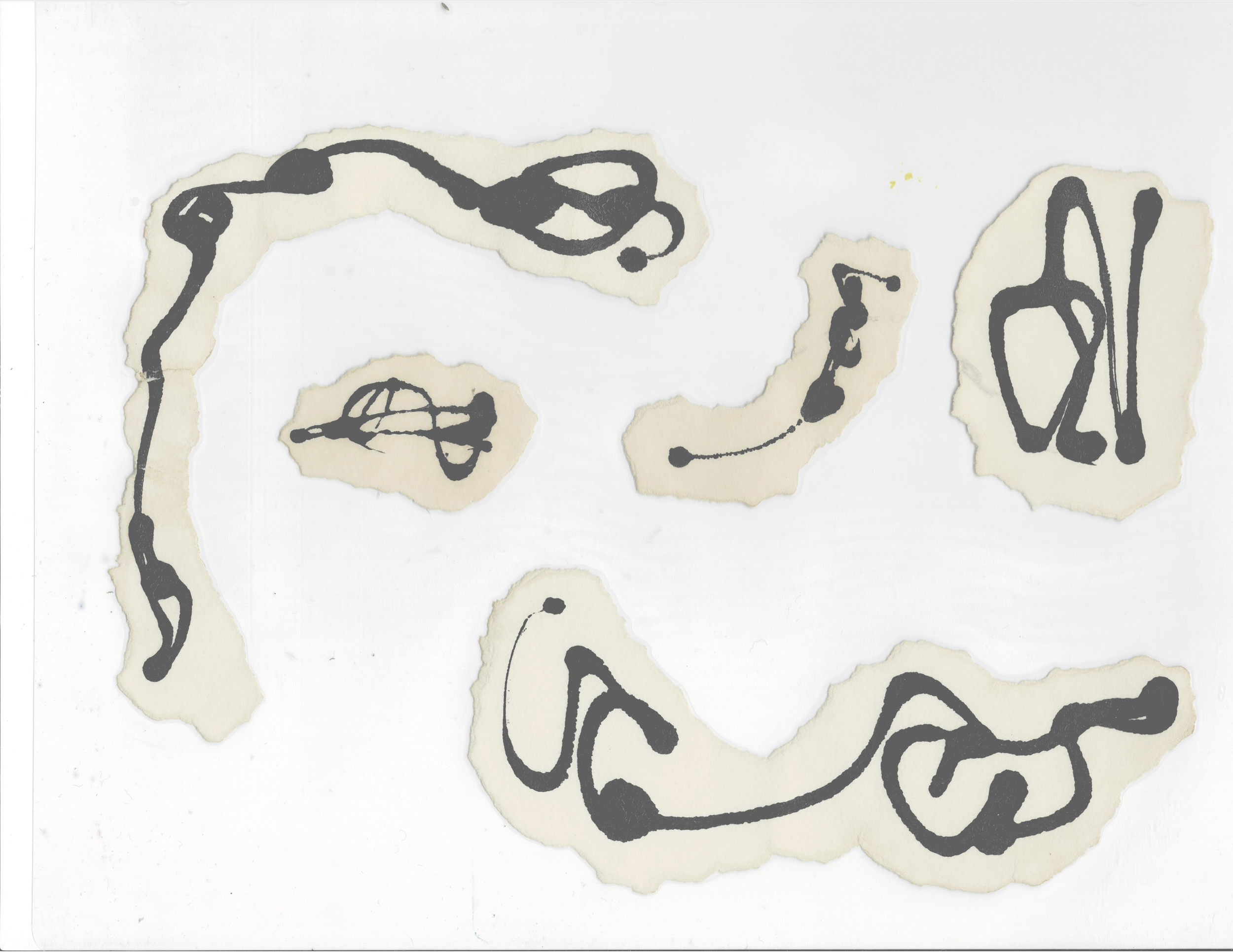 scan12.png