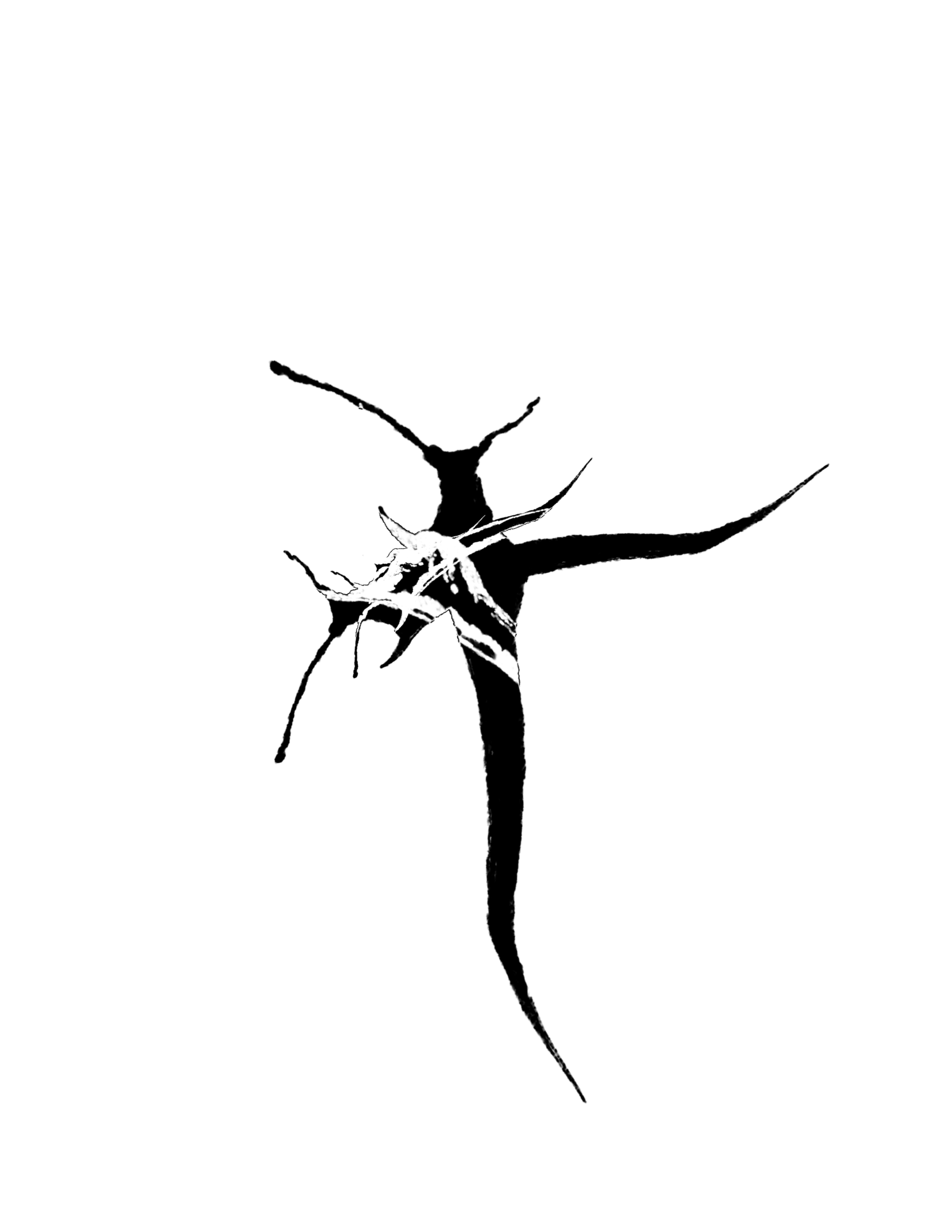 eeeeeeeee.png