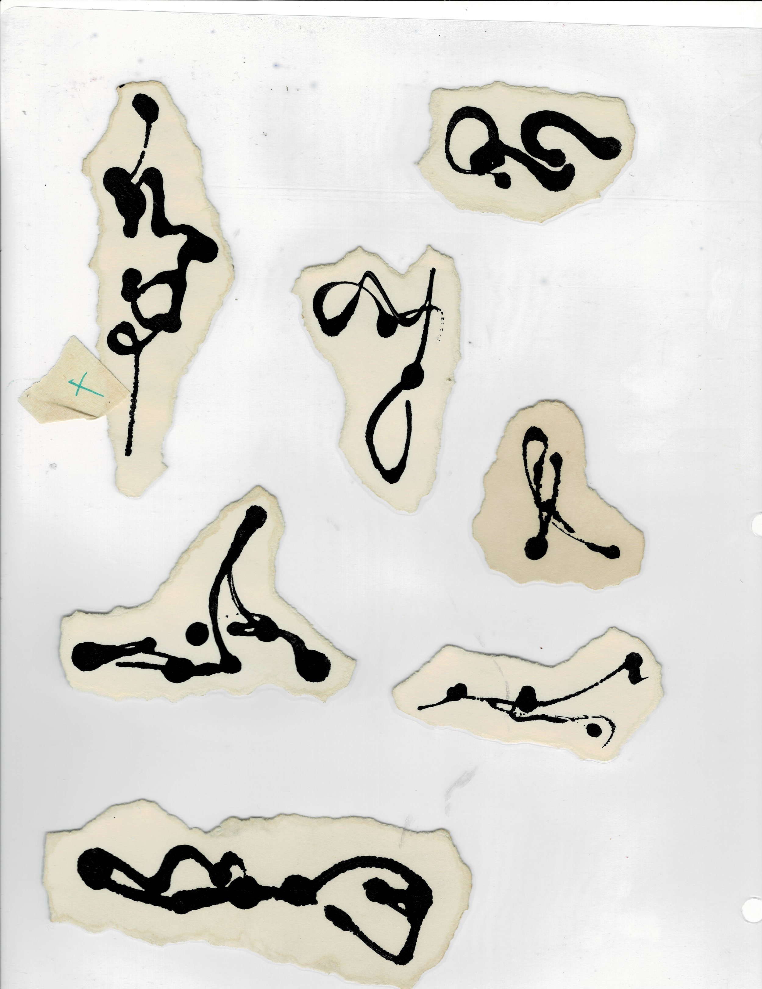 scan5.jpg