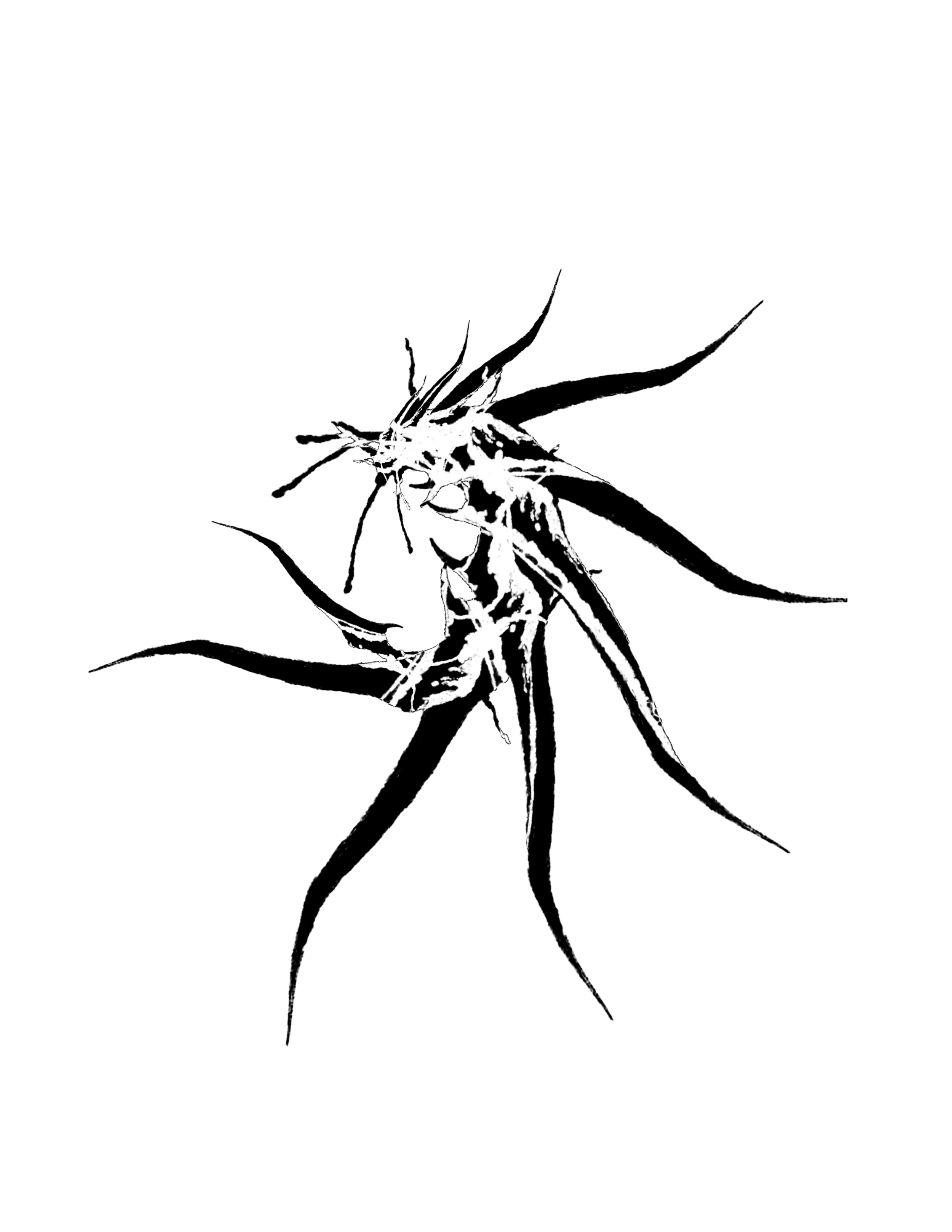 eeeeeeee.png