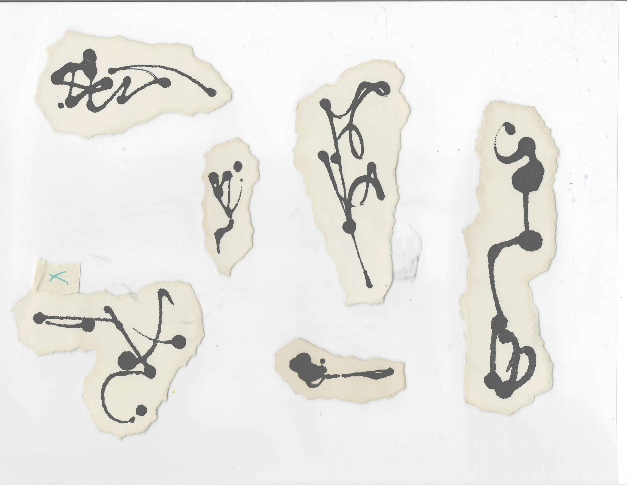 scan11.png
