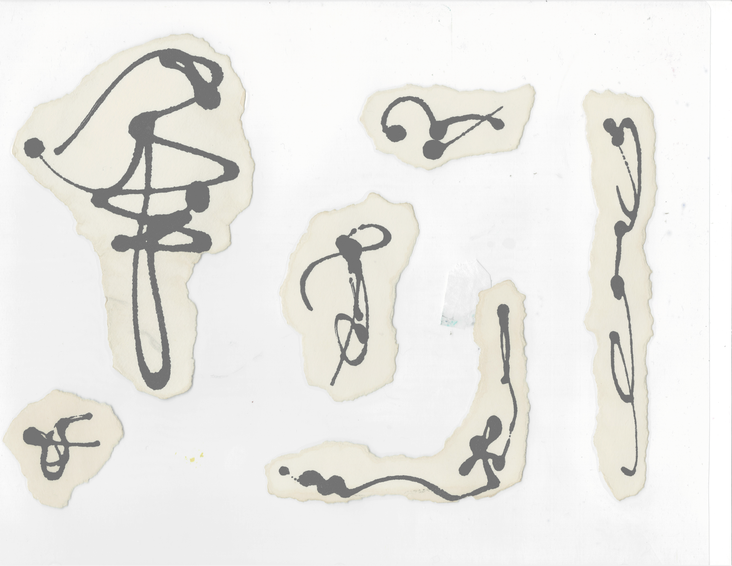 scan13.png