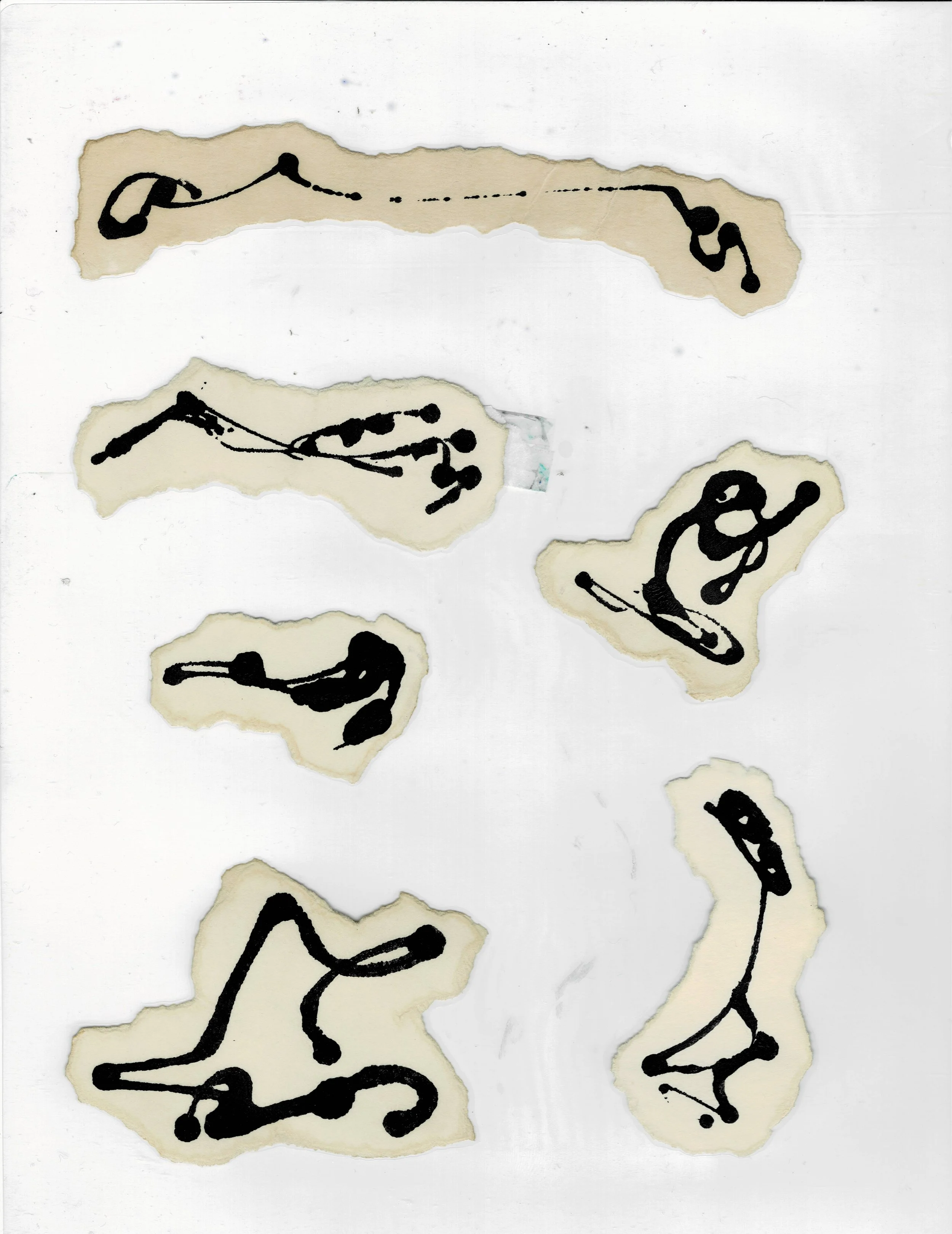 scan8.jpg