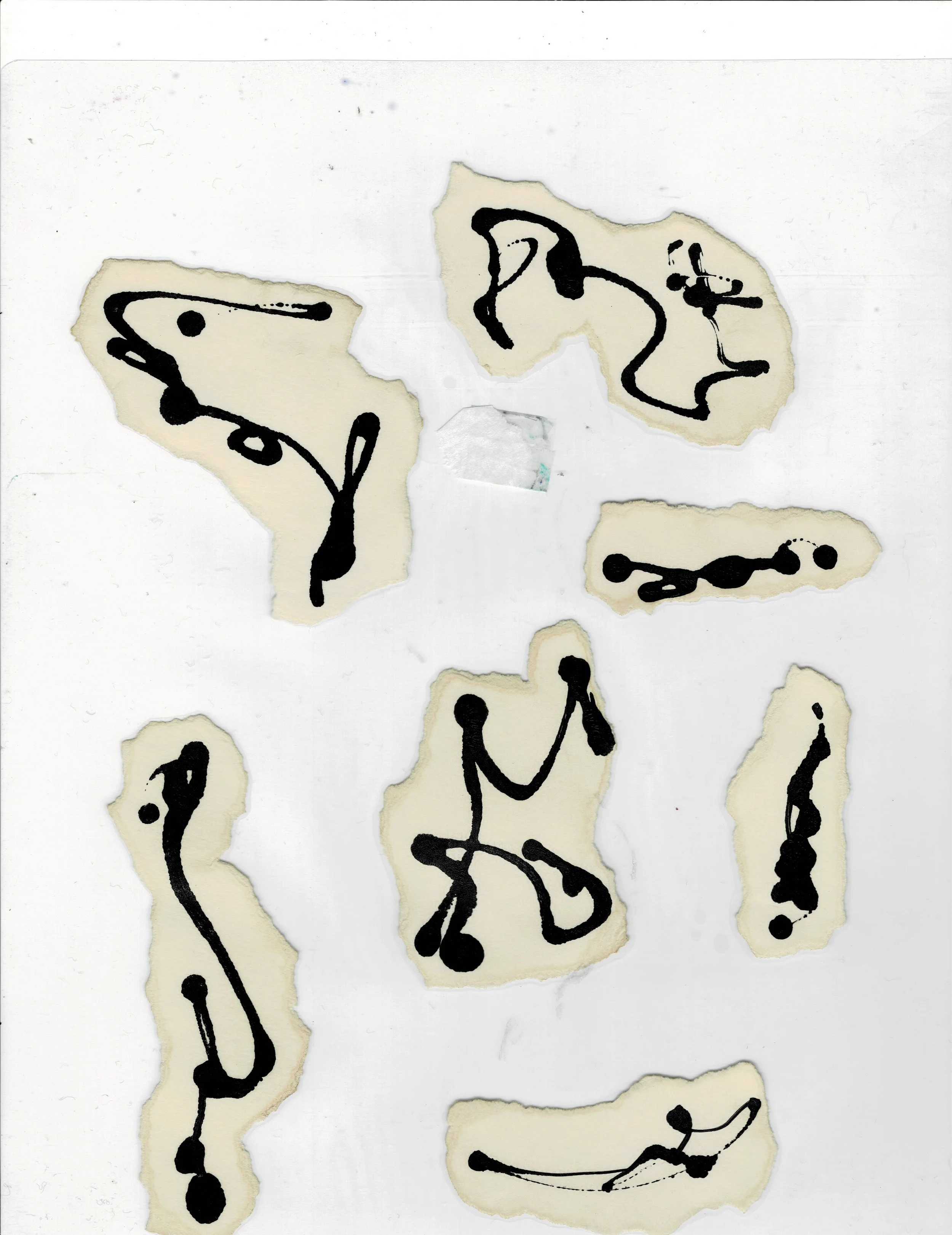scan4.jpg
