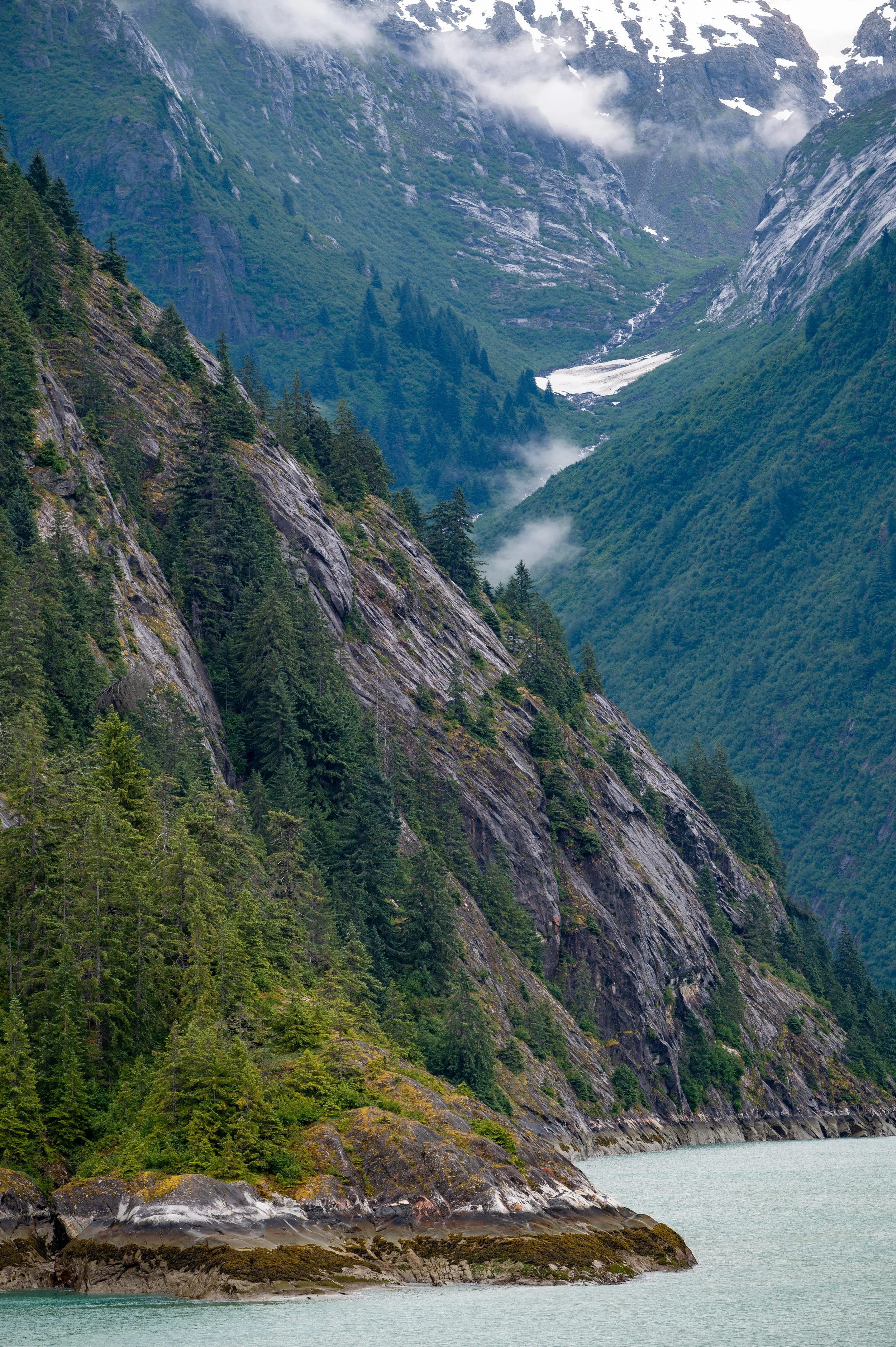 Z6I_6238-2.jpg