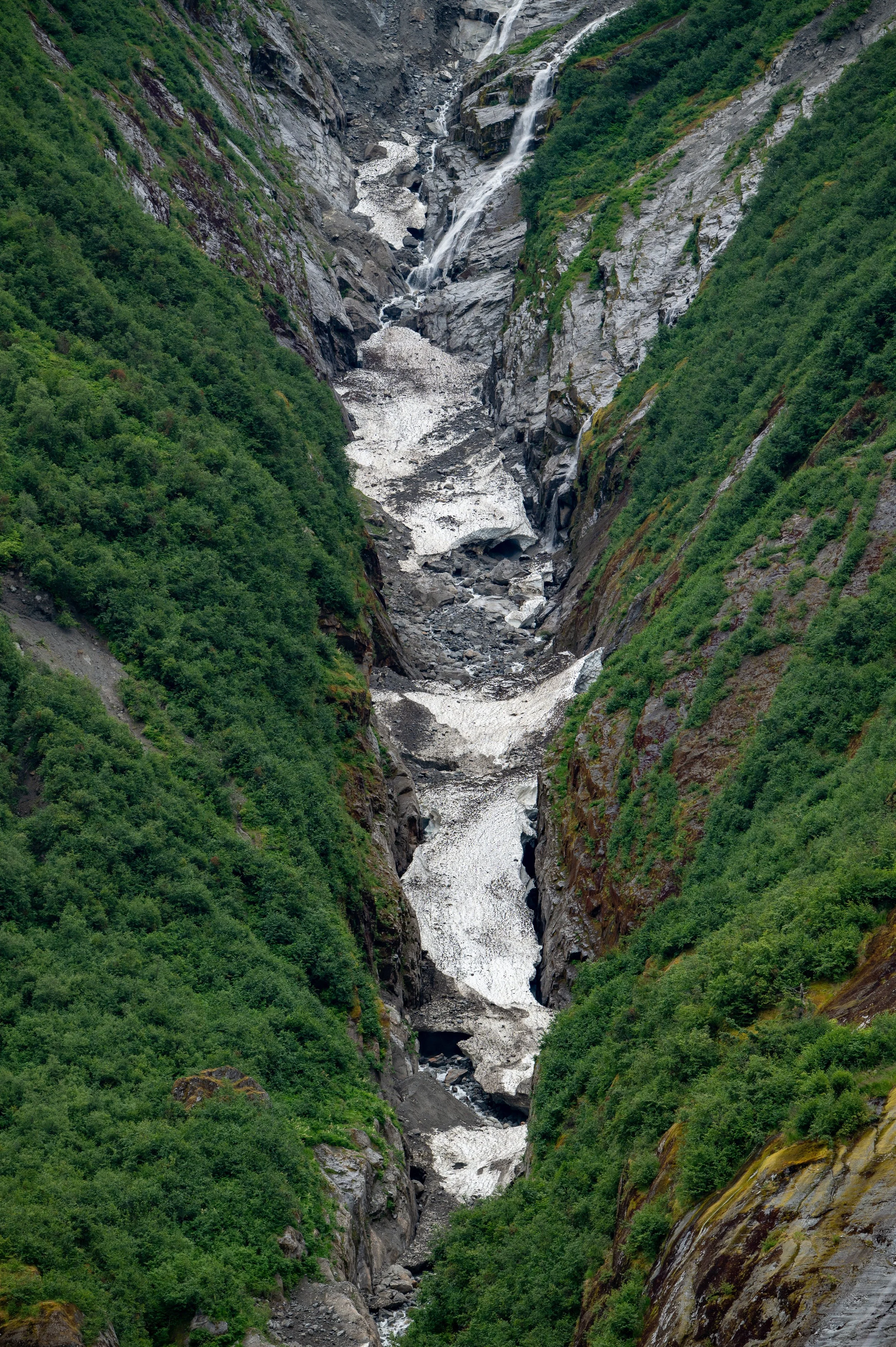 Z6I_6248.jpg