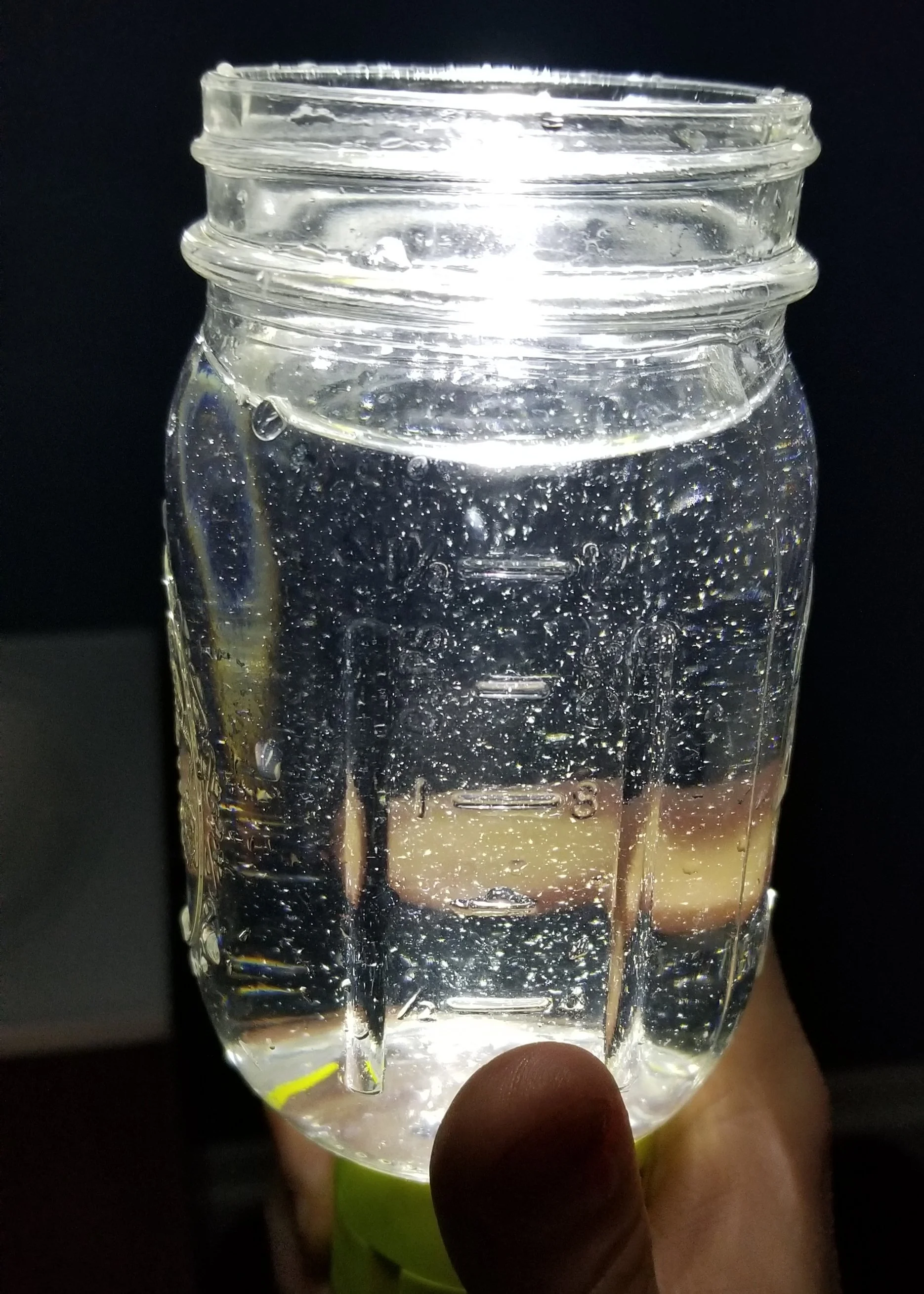 4 Species Copepod Blend 16oz