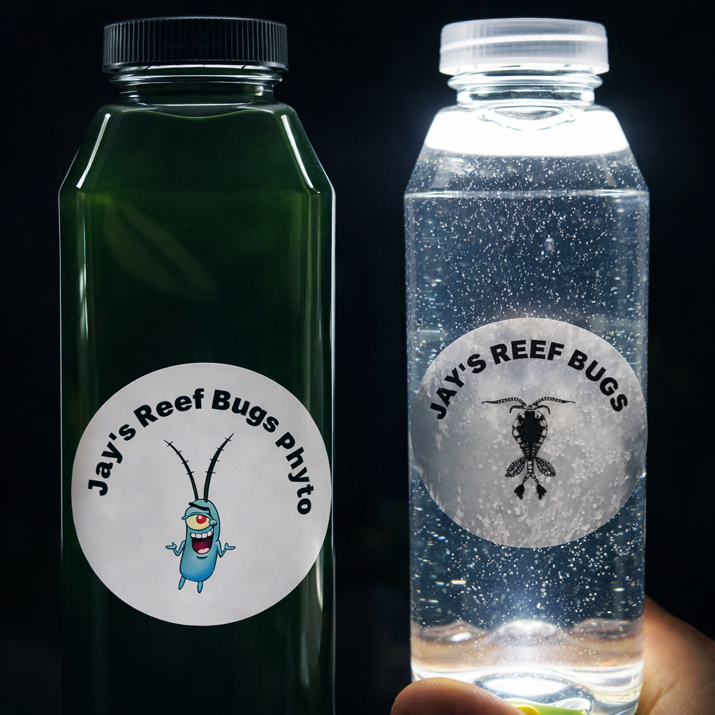 Live 4 species copepod Blend 32oz - 8 Strain phytoplankton 32oz Refugium seeding pack