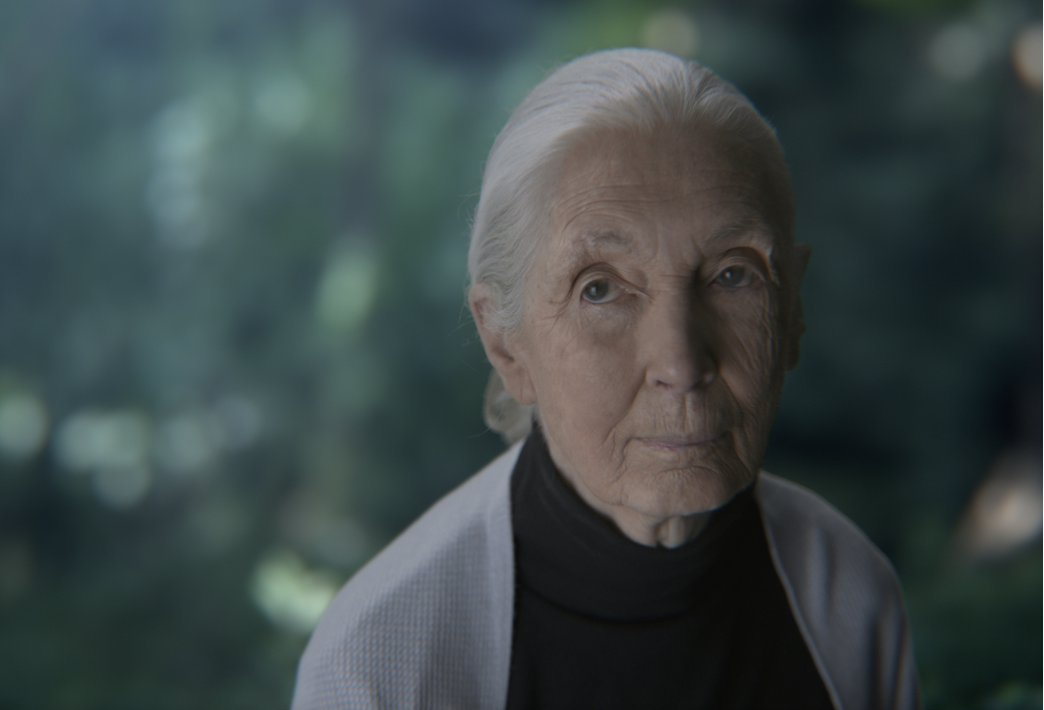 BOODY / OFFICAL UNDERWEAR OF THE ENTIRE PLANET