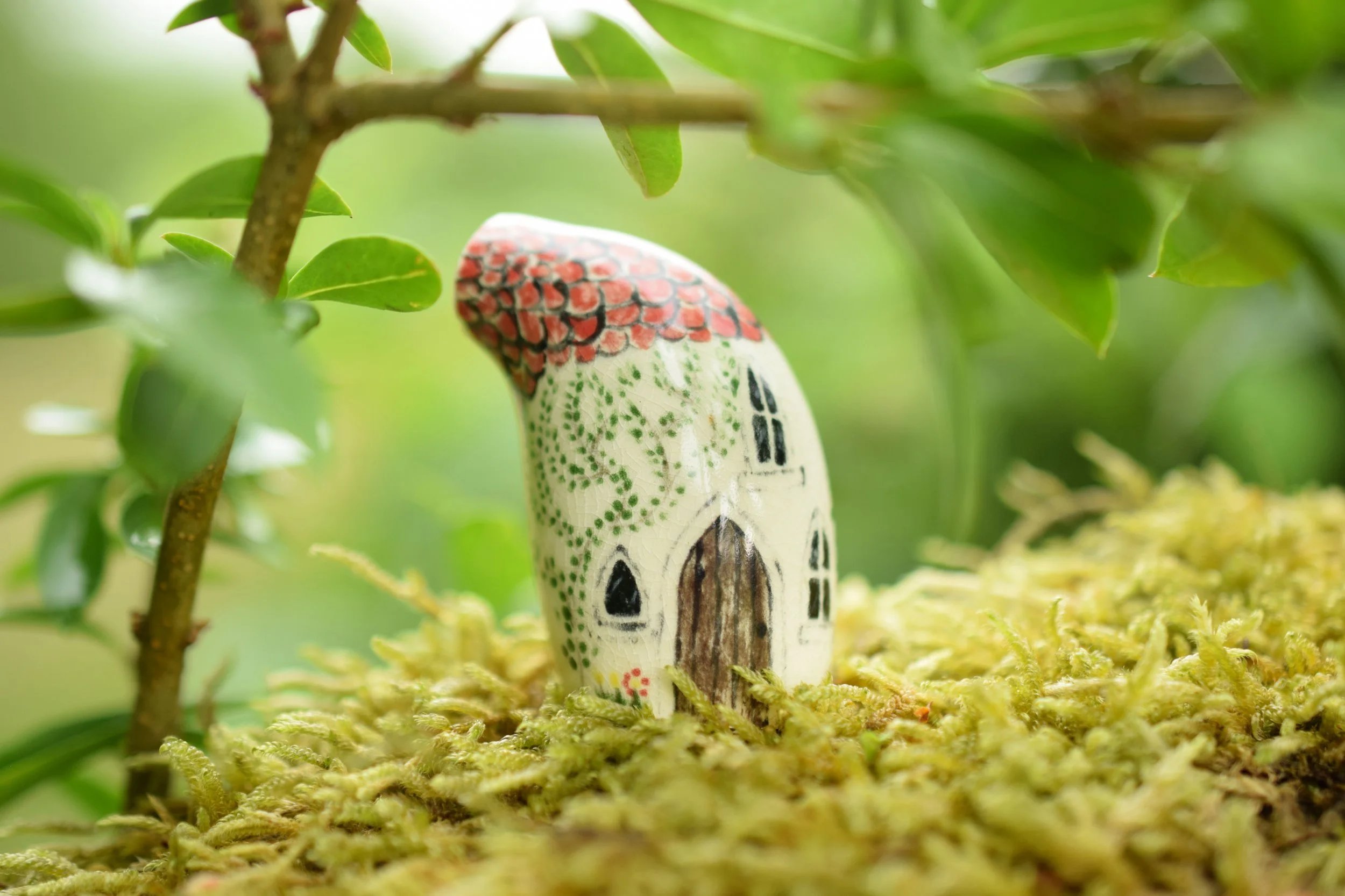 Pipedream Cottage.JPG