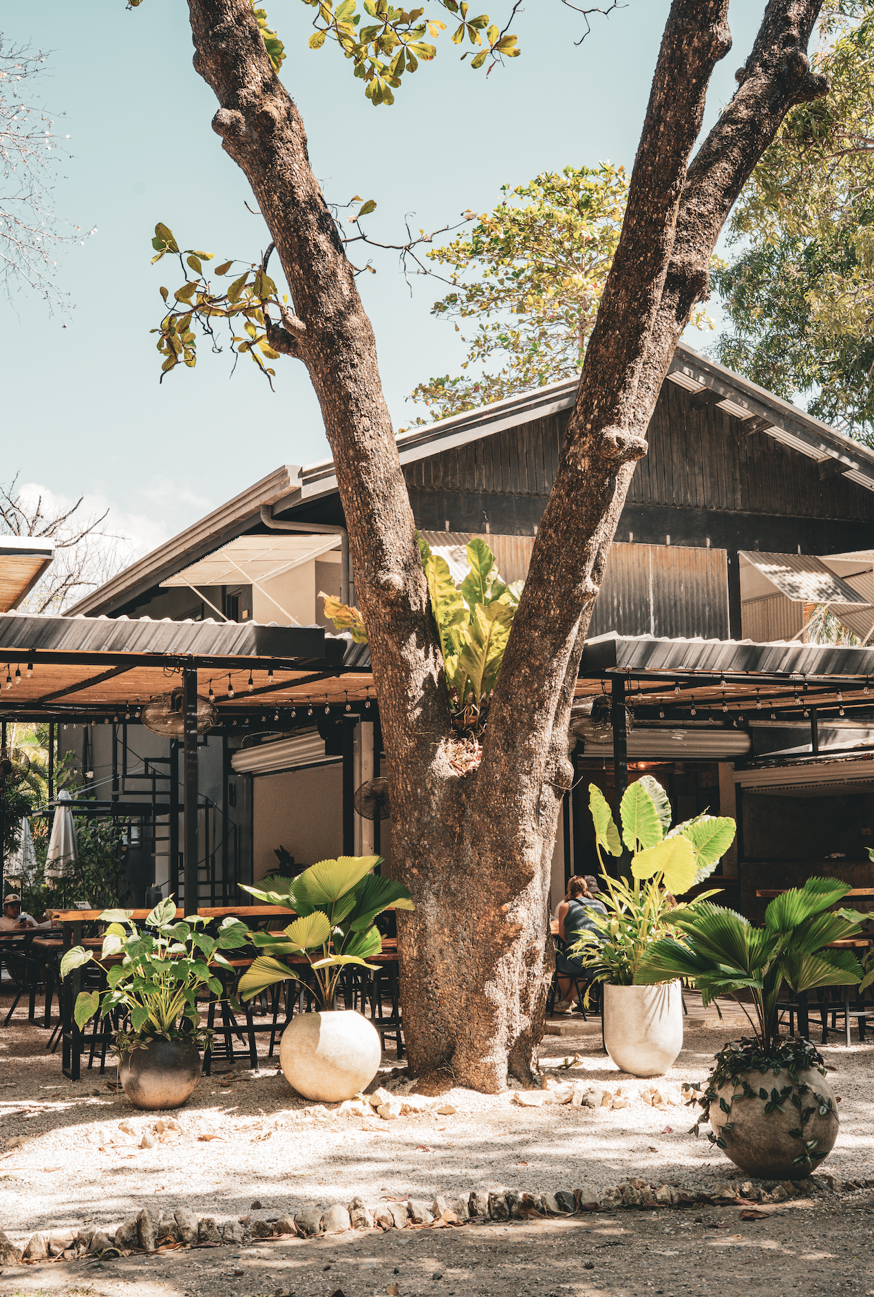 Screenshot 2026-02-12 at 6.25.32 PM.png