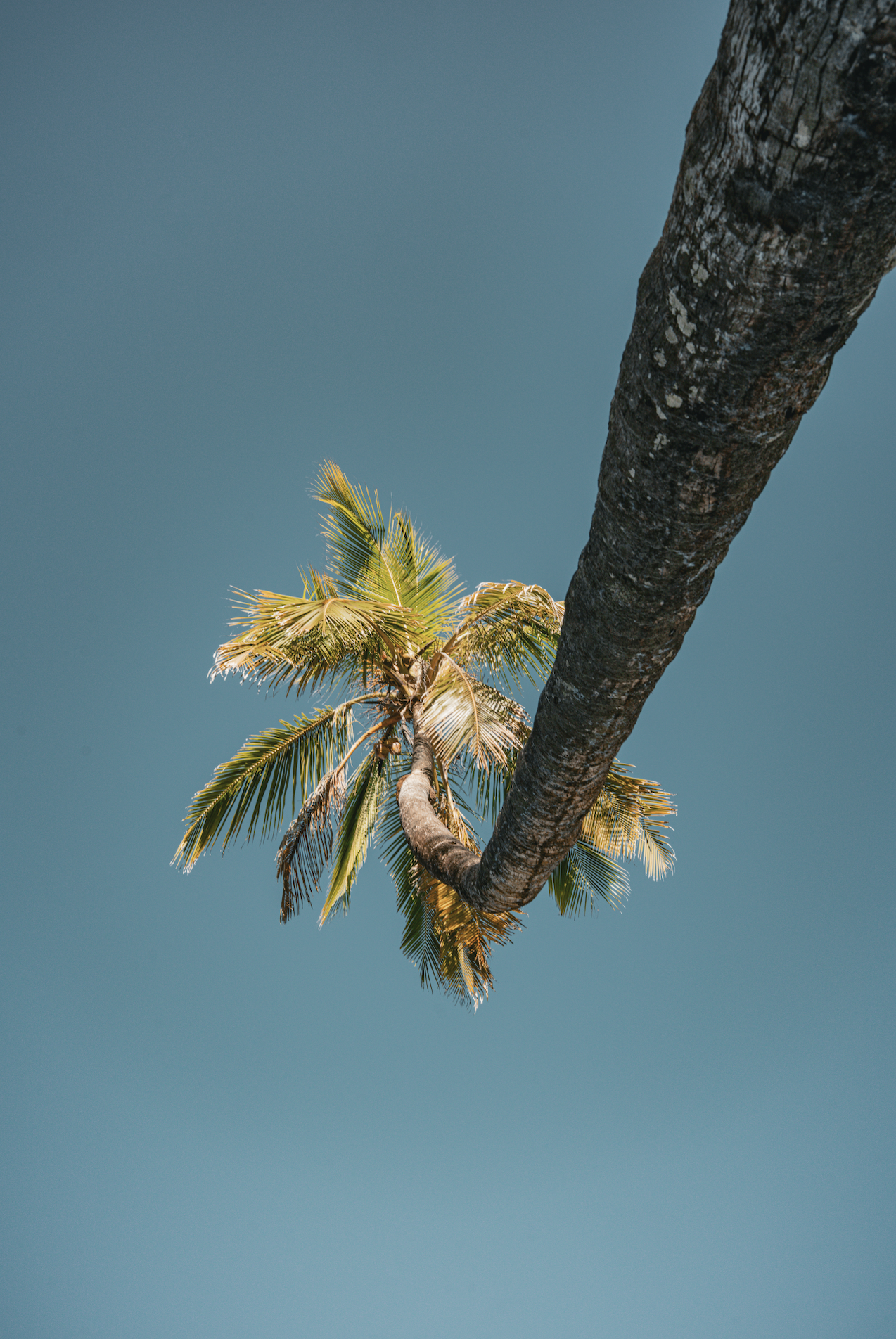 Screenshot 2026-02-12 at 6.25.20 PM.png