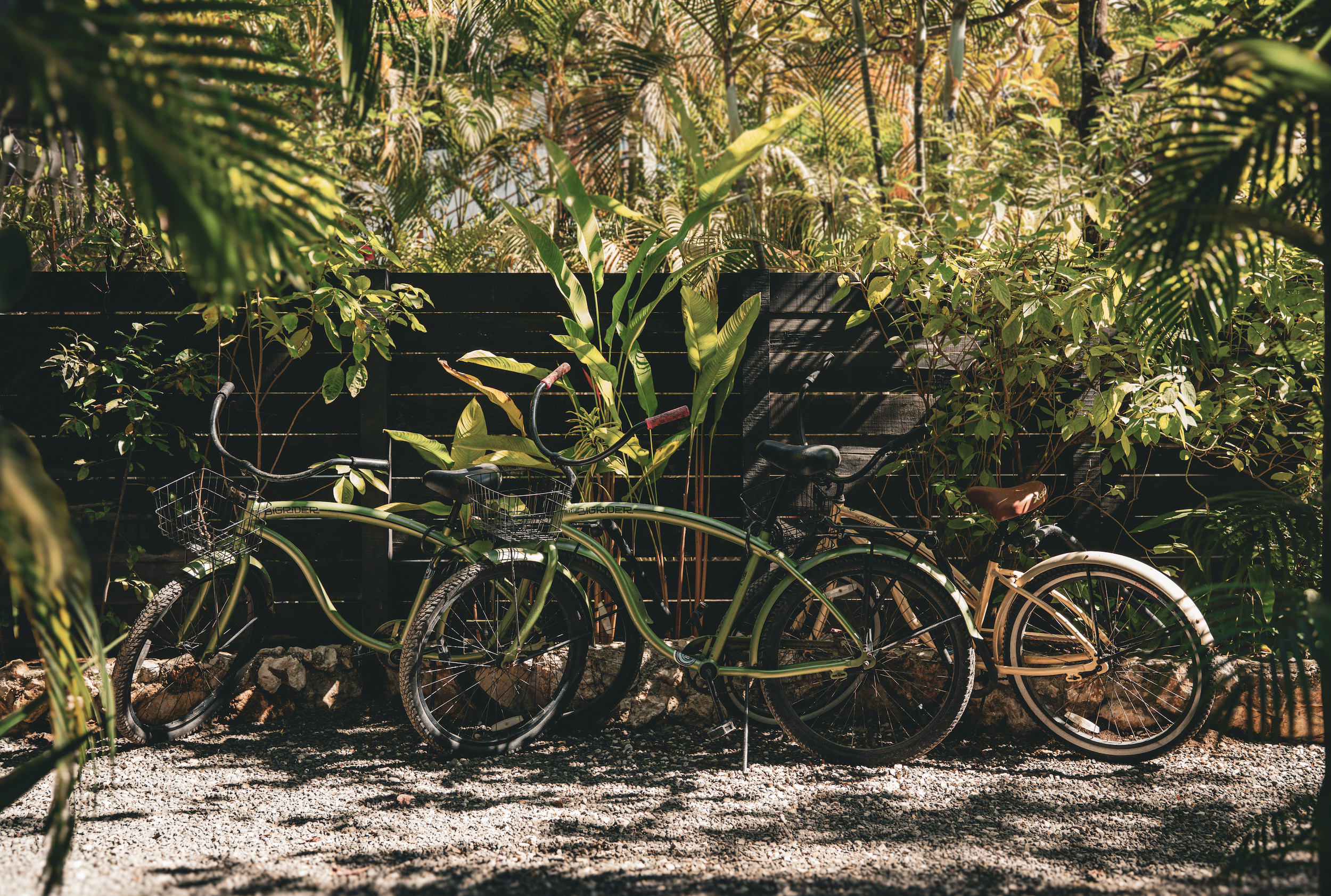 Screenshot 2026-02-12 at 6.26.56 PM.png