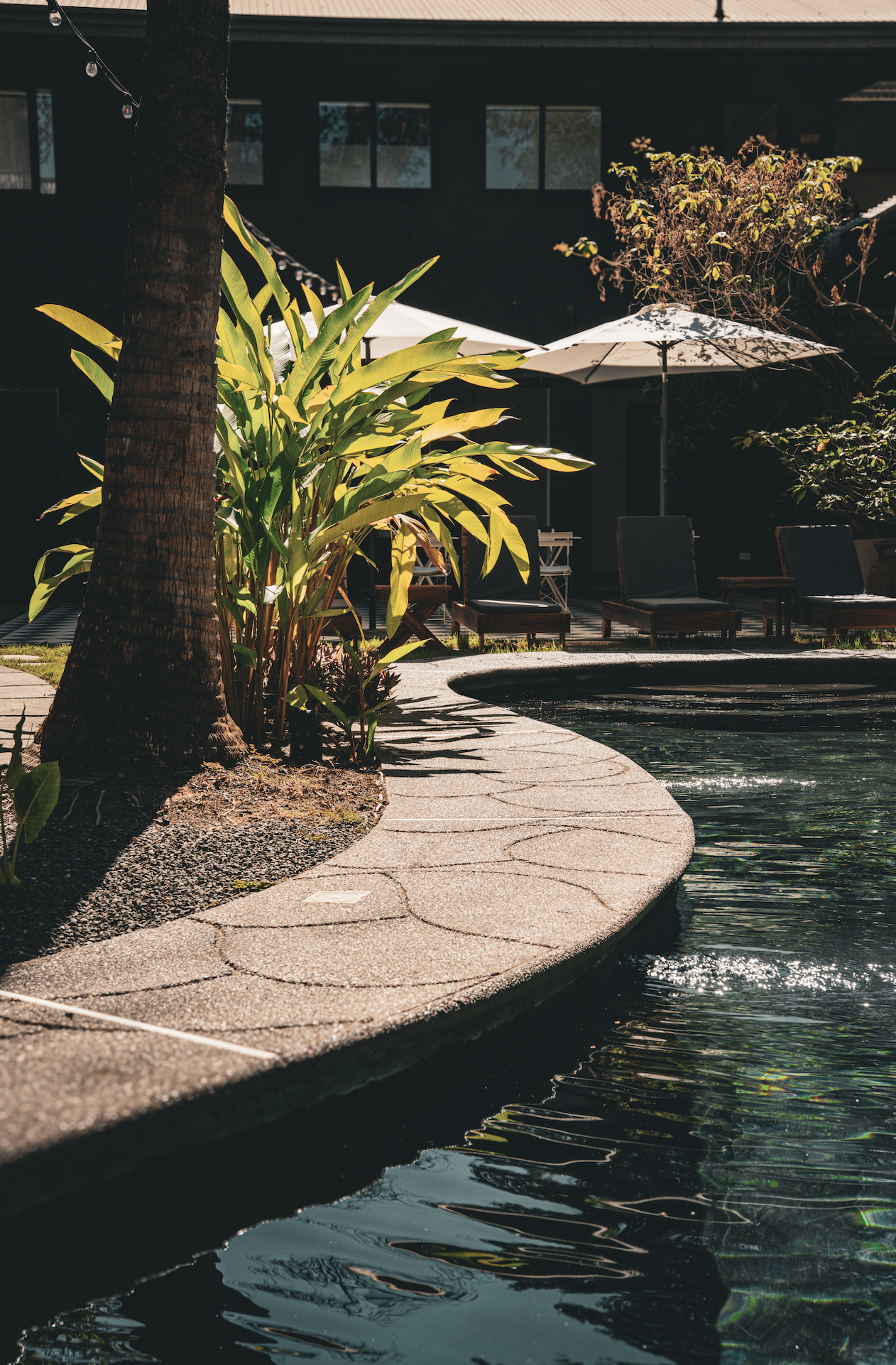 Screenshot 2026-02-12 at 6.23.47 PM.png