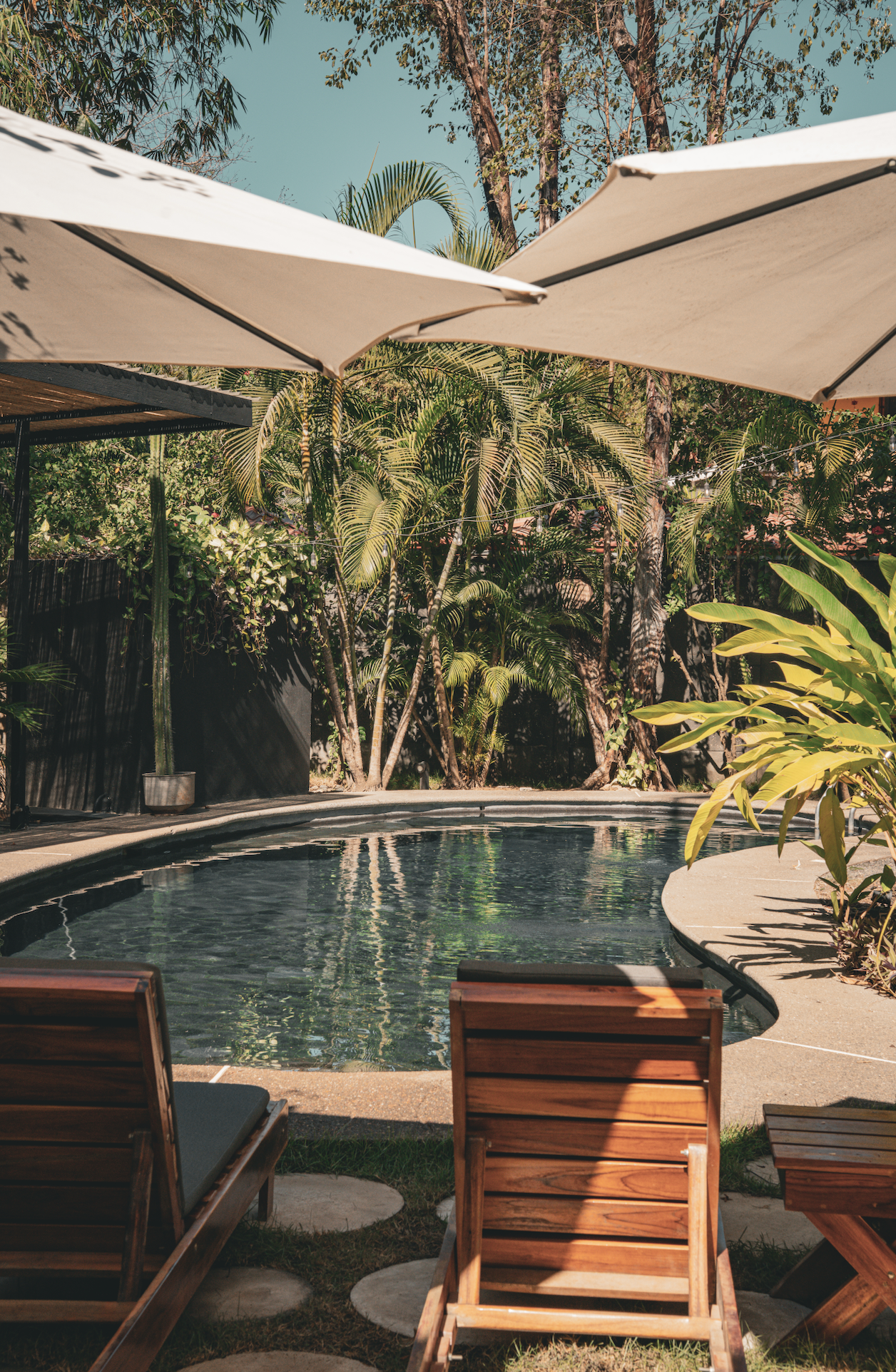 Screenshot 2026-02-12 at 6.25.04 PM.png