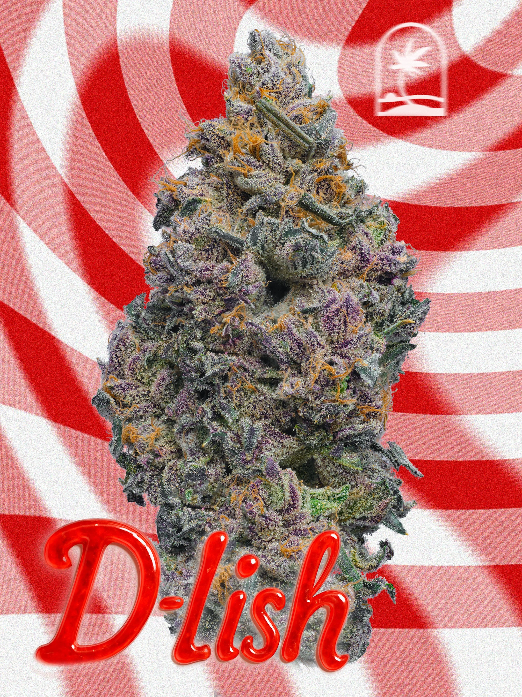 D-Lish strain