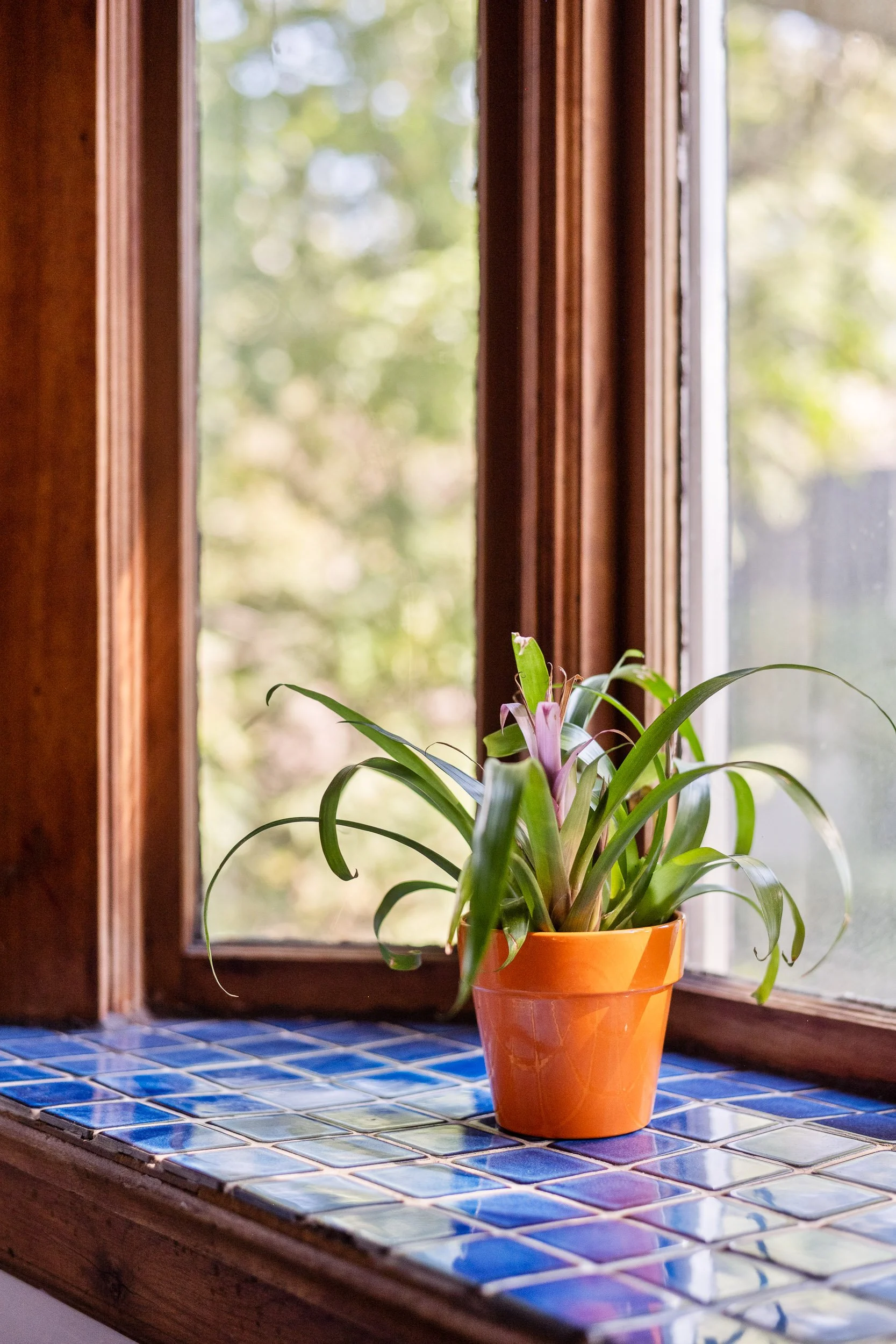 2101 Scudder St-MLS-51.jpg