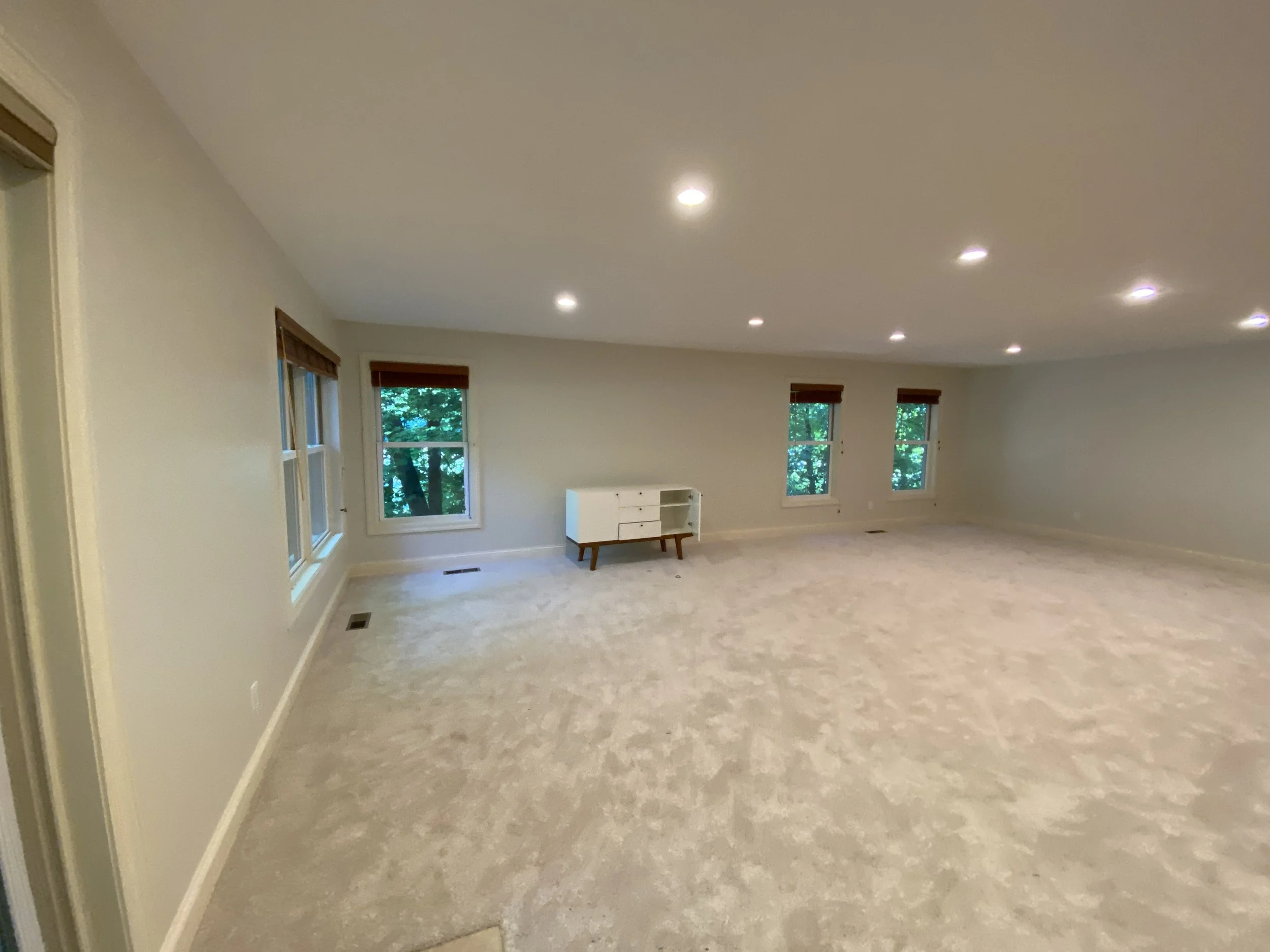 BEFORE: partially furnished basement family room in Wayzata, MN