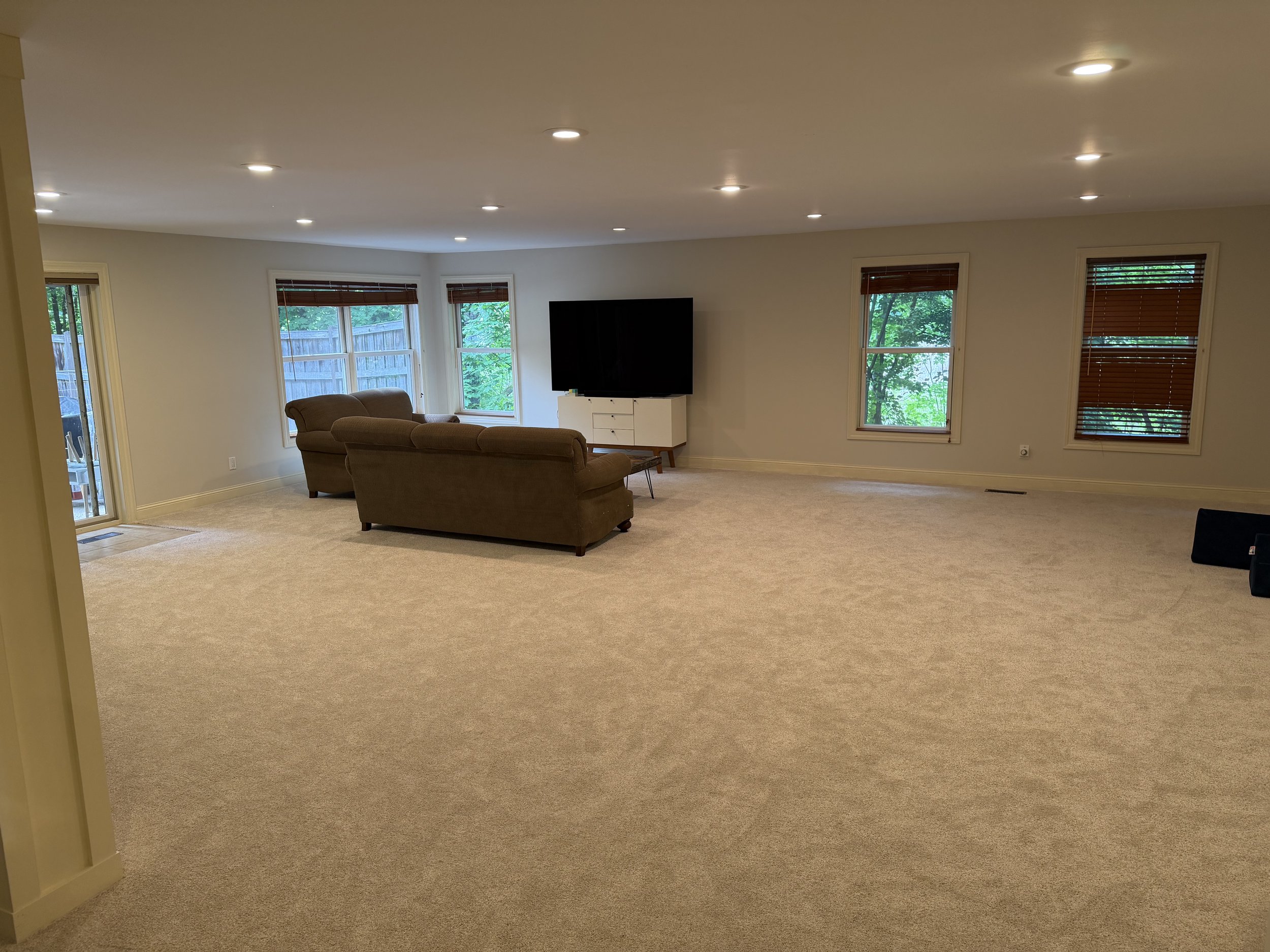 BEFORE: partially furnished basement family room in Wayzata, MN